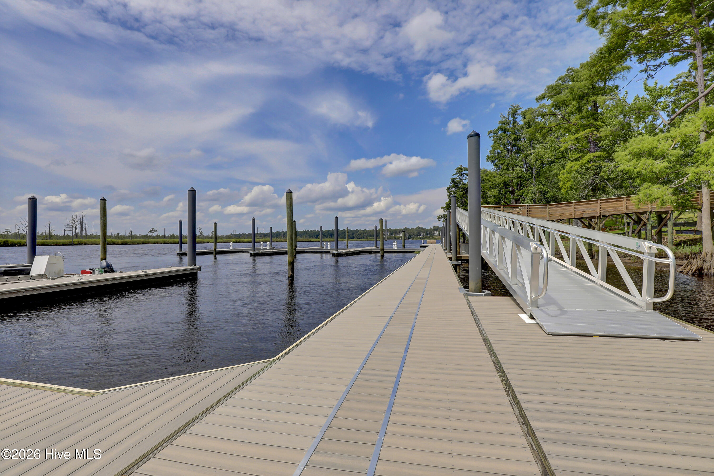 100548611 | Photo 51