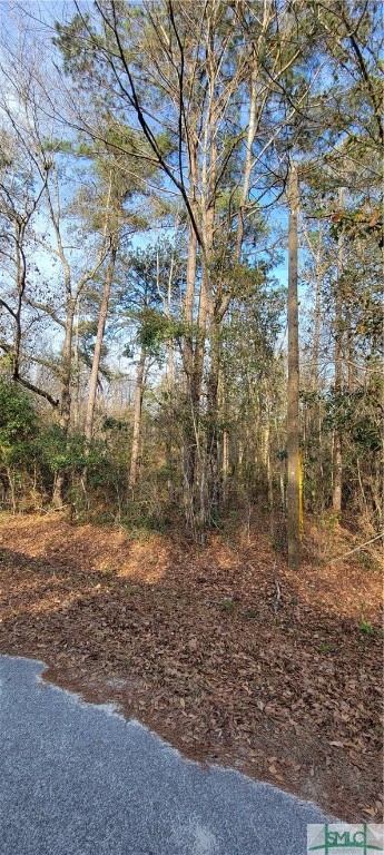 Homes for sale in Ellabell, GA | 0 Pine Needle Dr, Ellabell, GA 31308 | MLS# SA281939