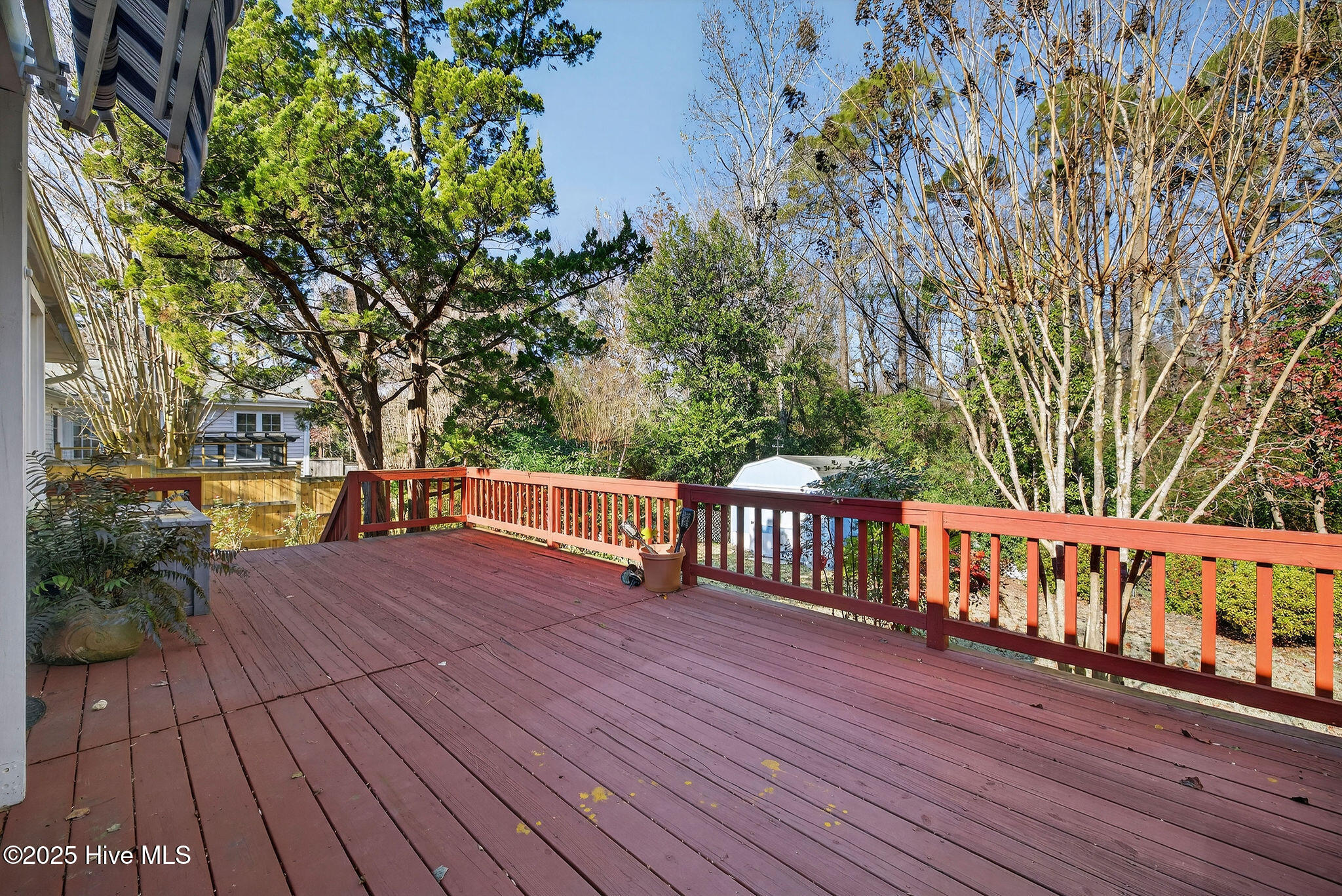 100545478 | Photo 36