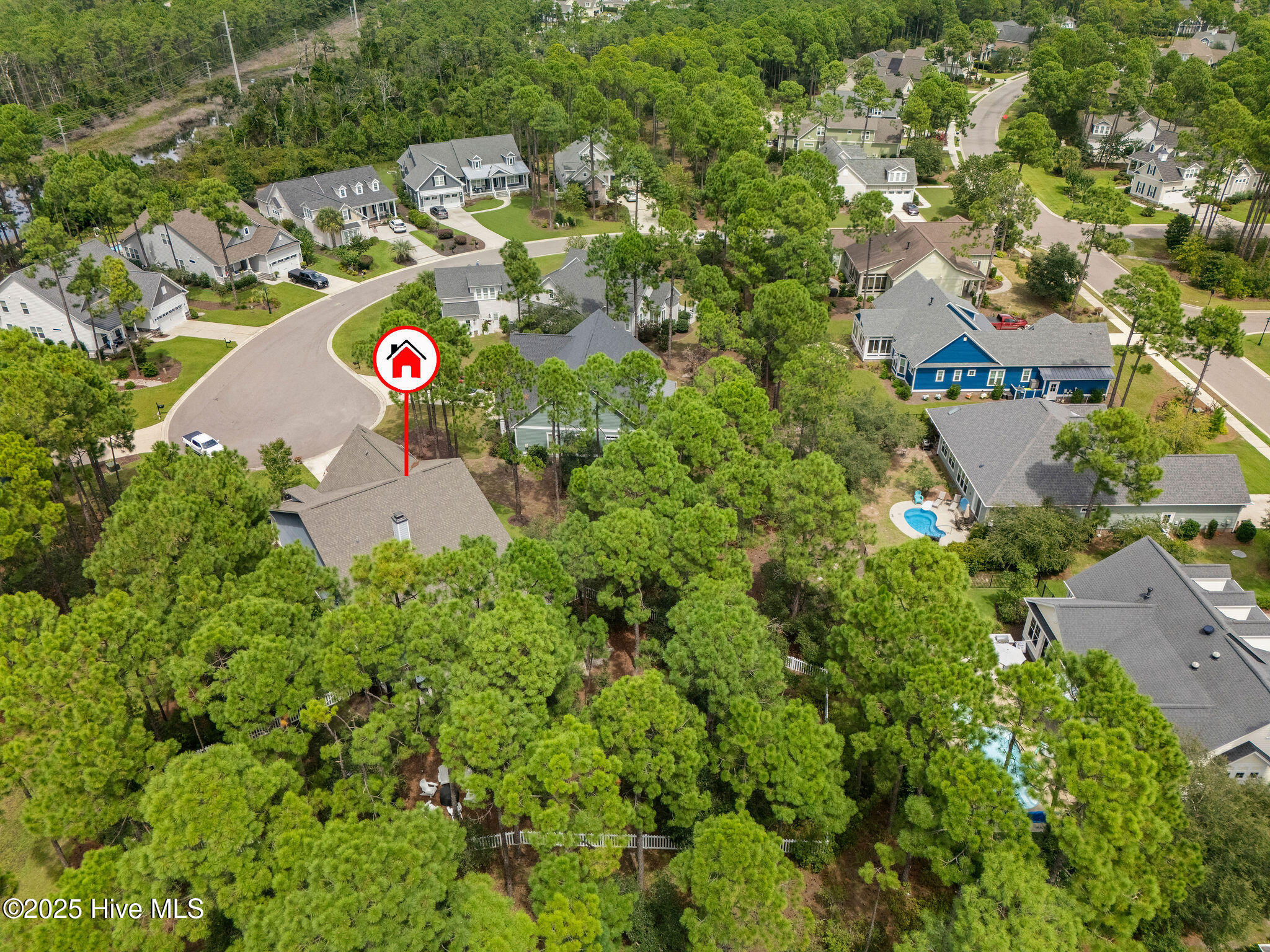 100529341 | Photo 59