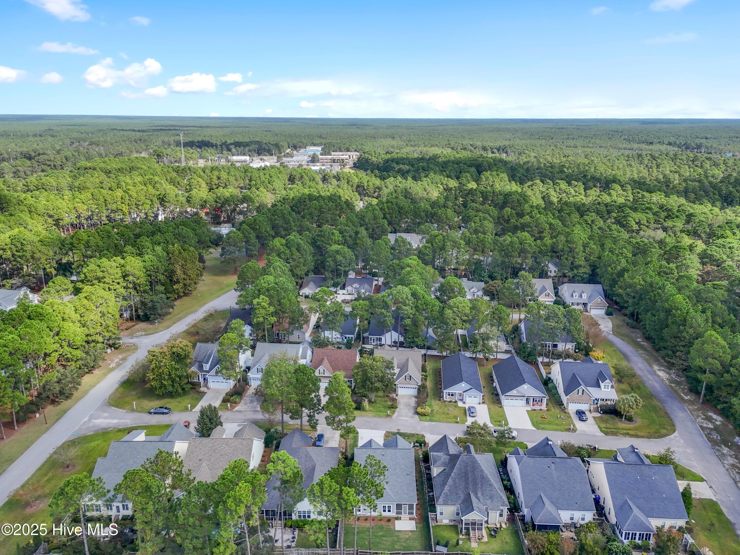 100511679 | Photo 35