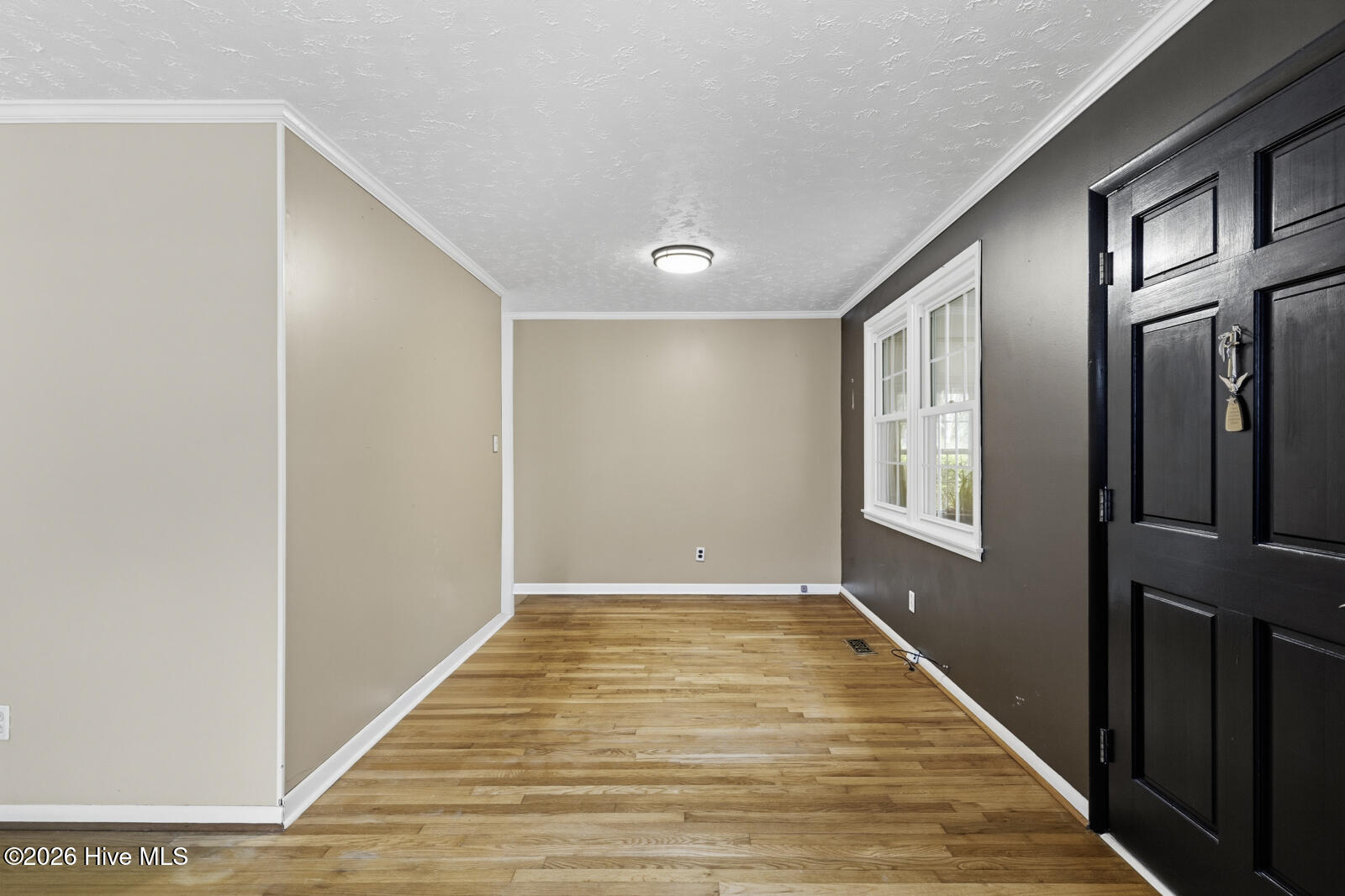 100558769 | Photo 10