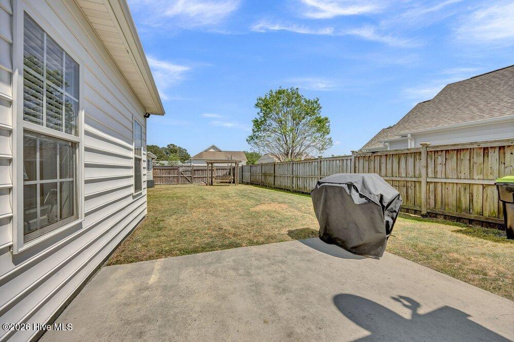 100568146 | Photo 23