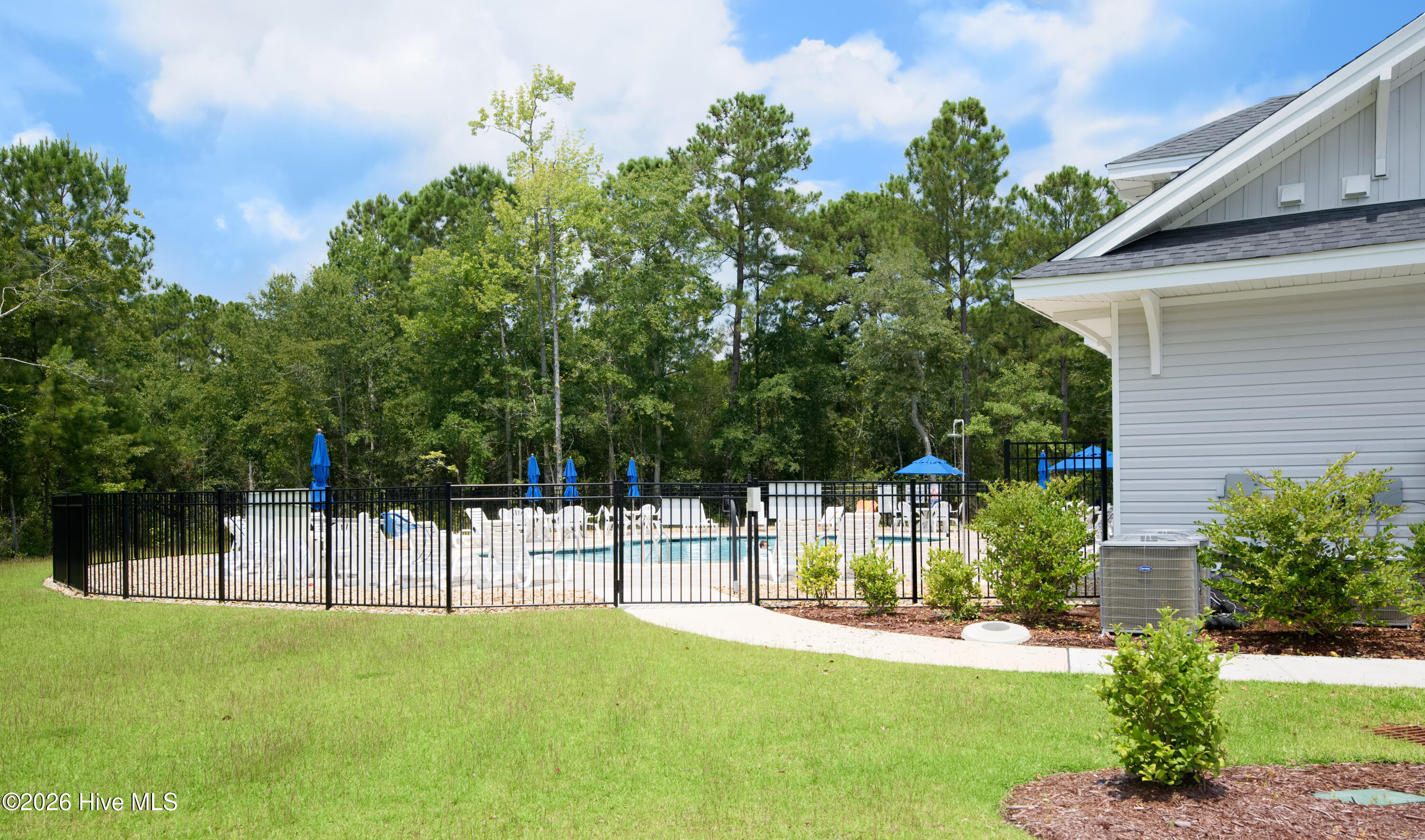 100559386 | Photo 56