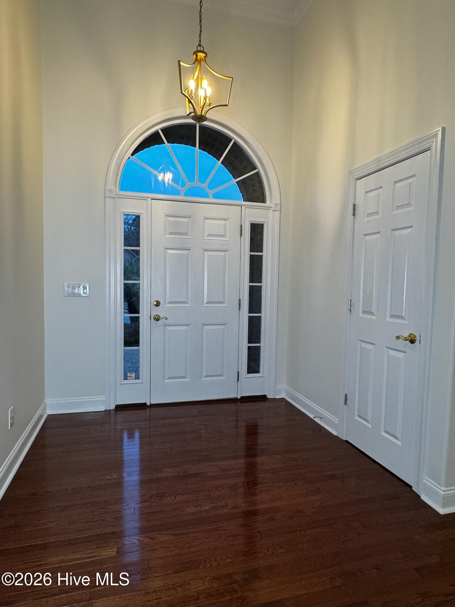 100558874 | Photo 27