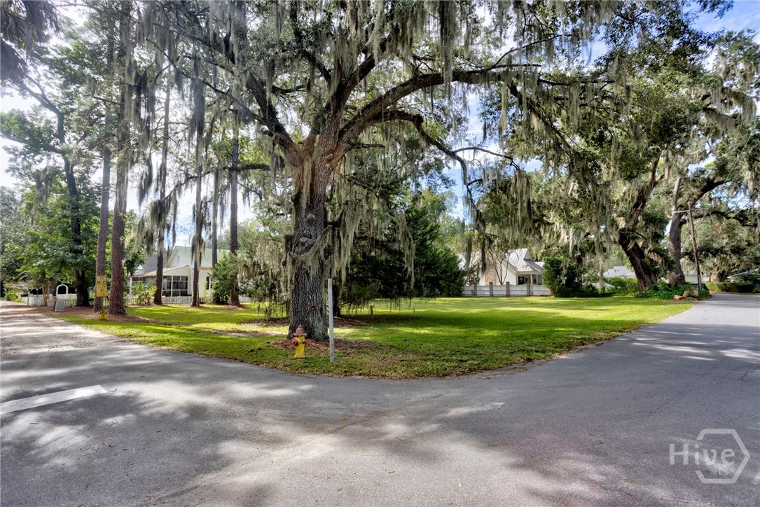 Double lot sits at the corner of St. Thomas Ave, and Cramer St.