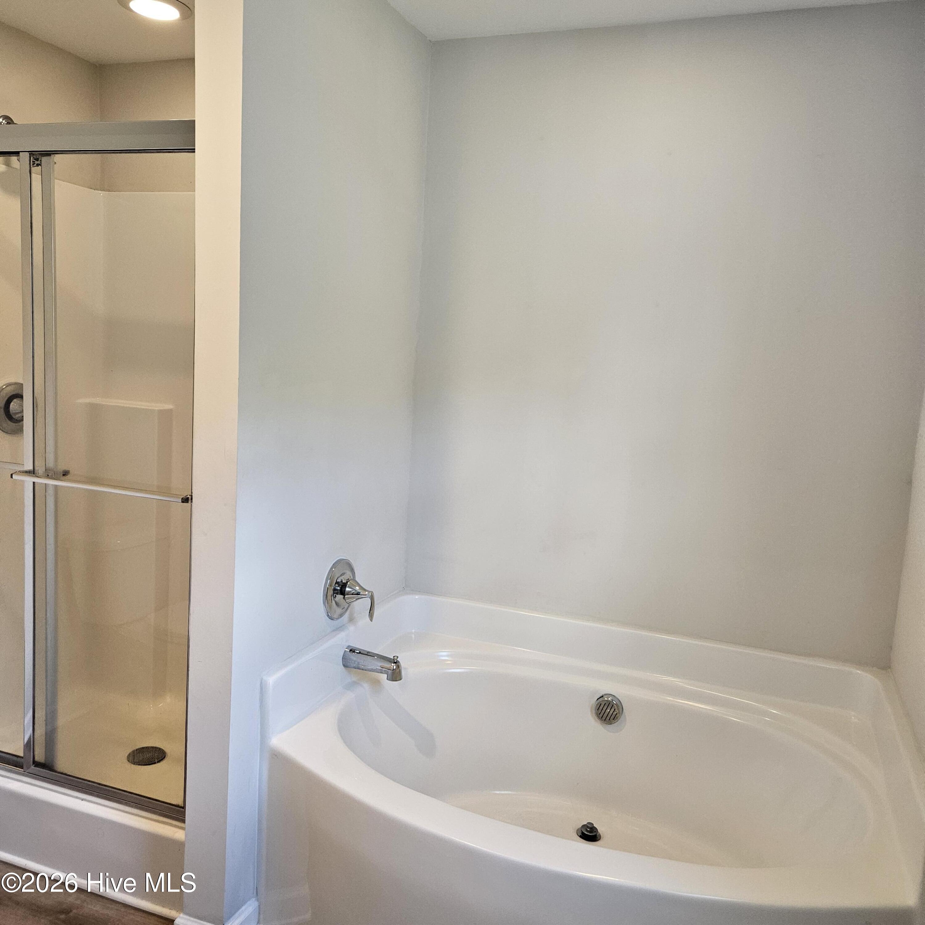 Master Tub and separate shower
