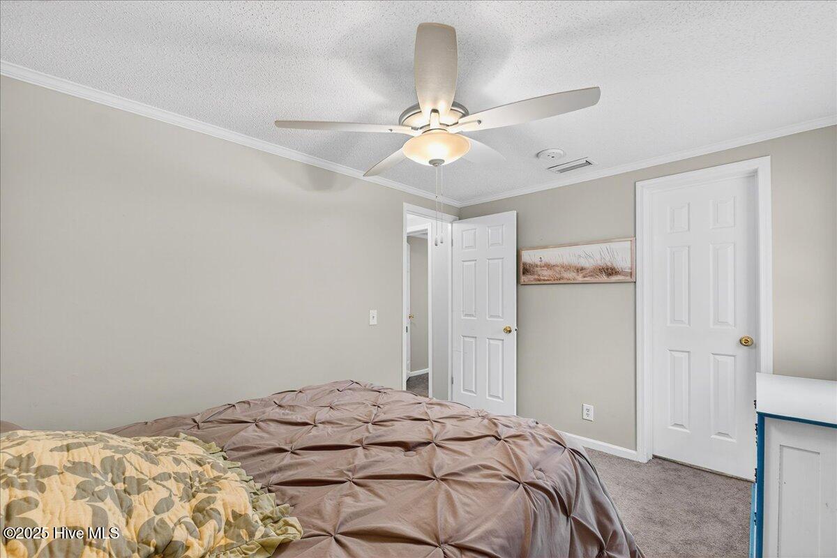 100535729 | Photo 25