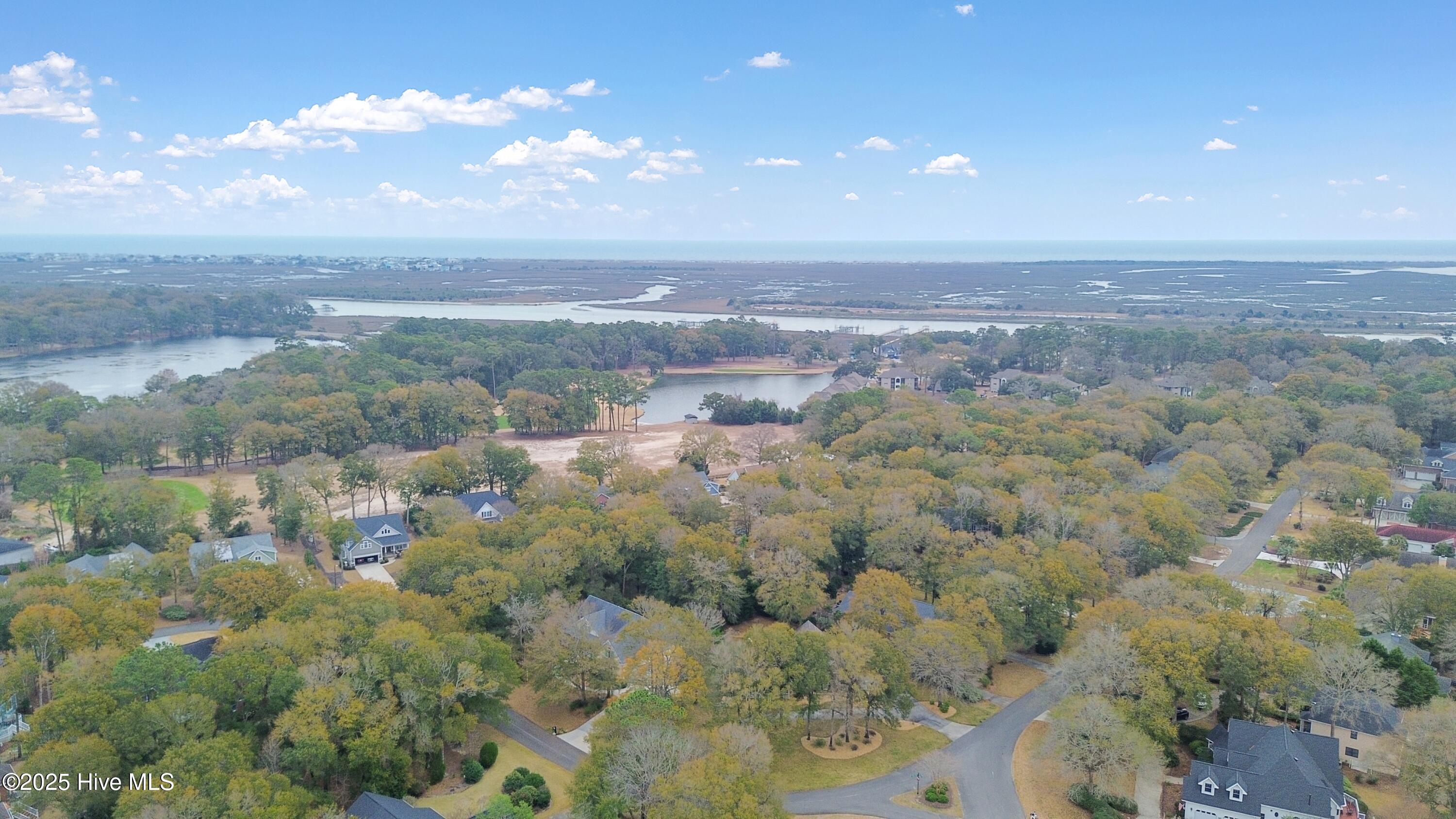 100556146 | Photo 50