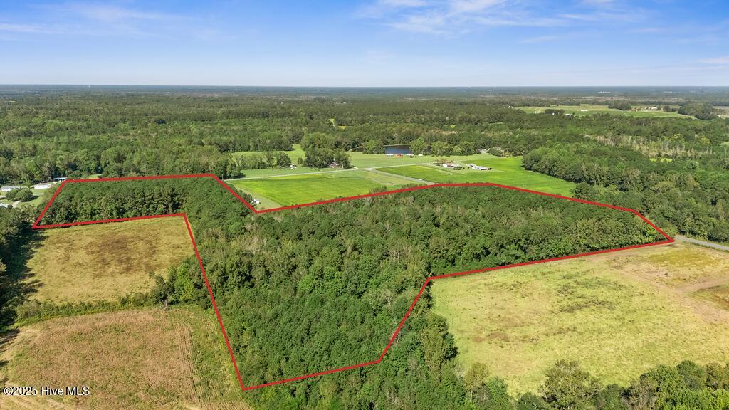 100535278 | Photo 16