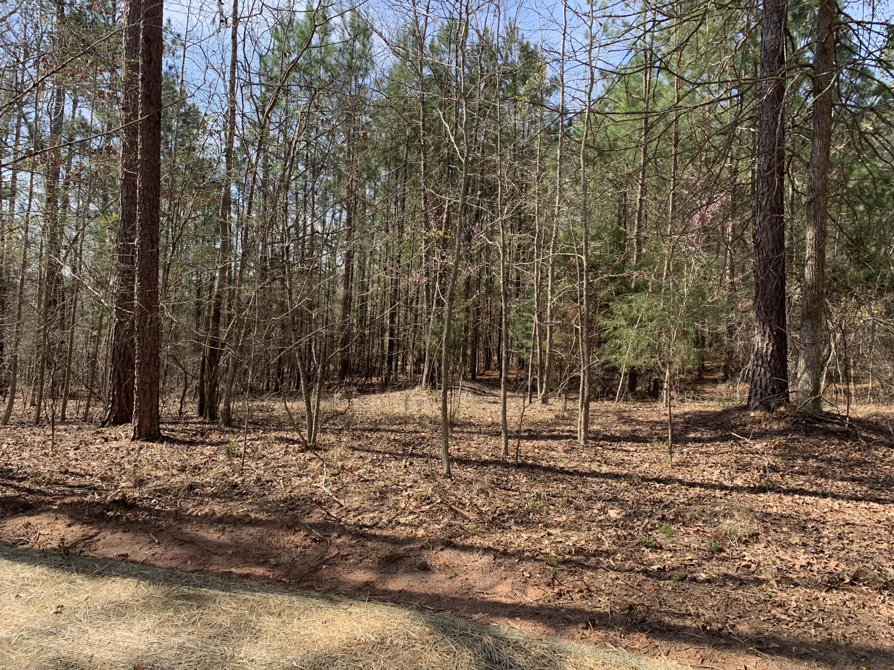 1403 TANYARD CREEK Drive, Thomson, GA, 30824