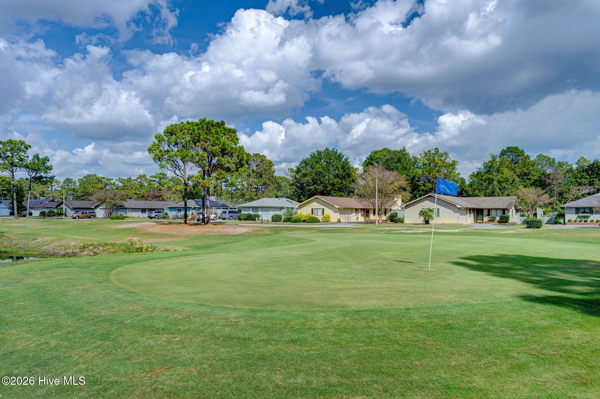 100563726 | Photo 41