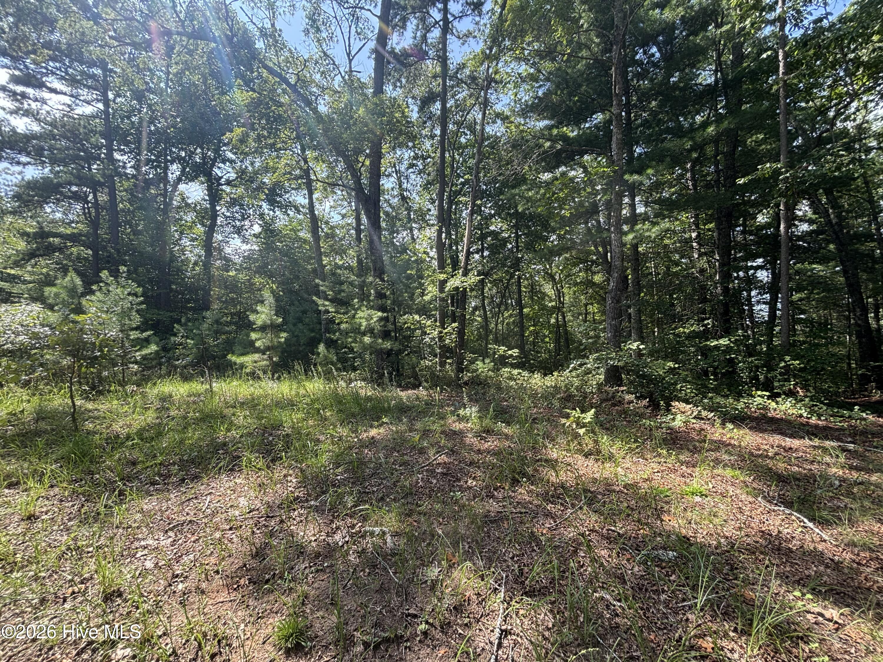Exterior photo of 5 5 Majestic Mountain Trail, Murphy, NC 28906. MLS: 100597408