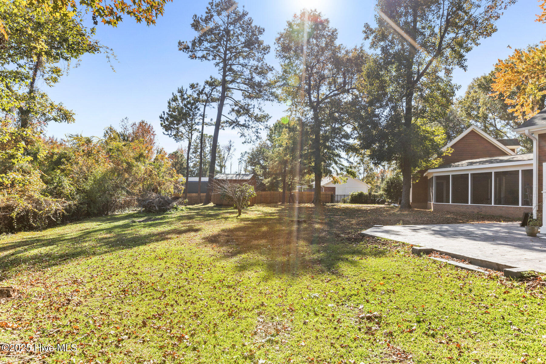 100542289 | Photo 48