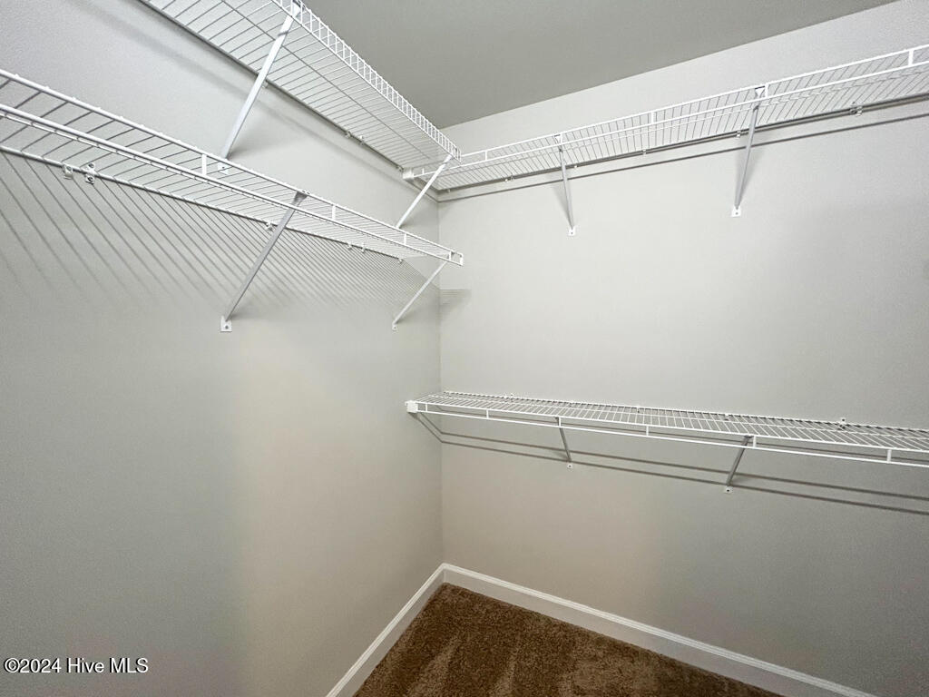 100563391 | Photo 46