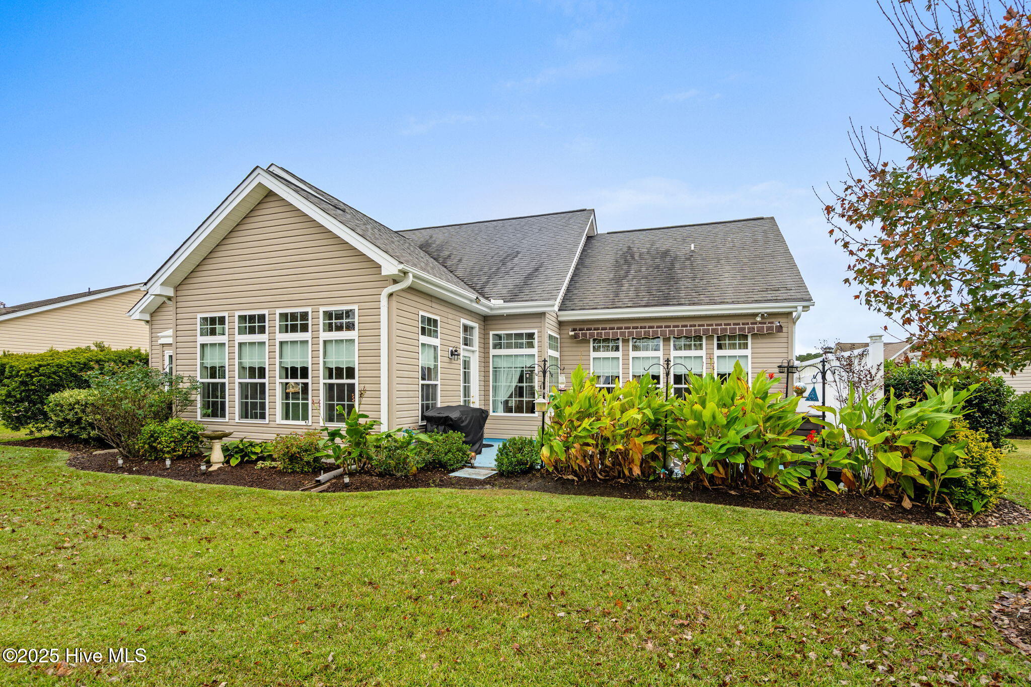 100538854 | Photo 42