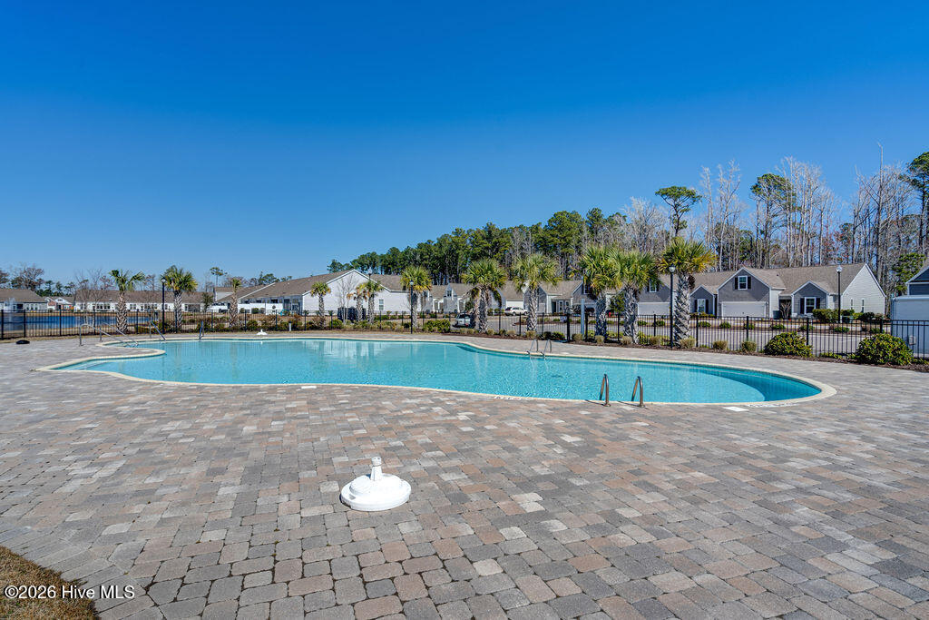 100547233 | Photo 53