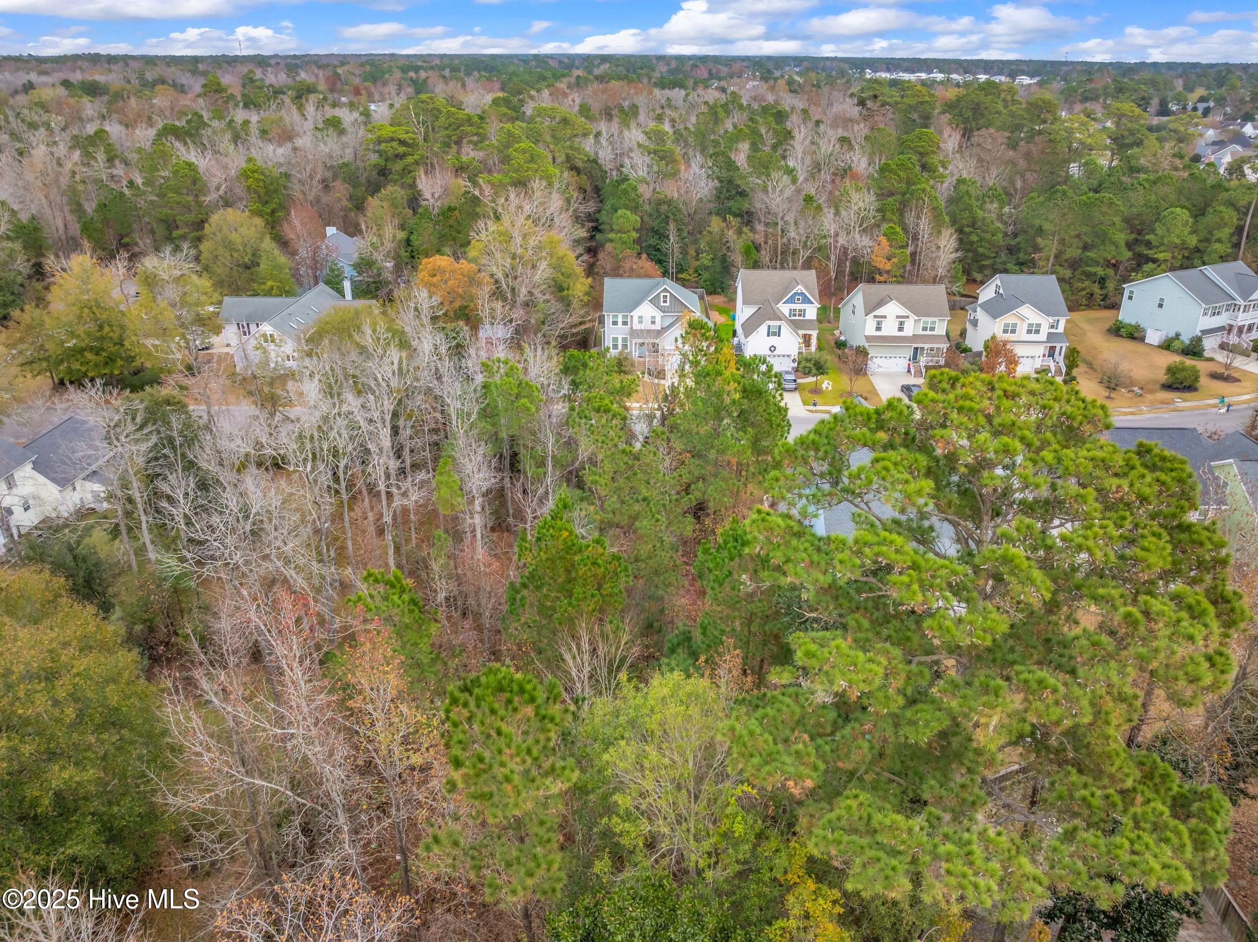 100544090 | Photo 13