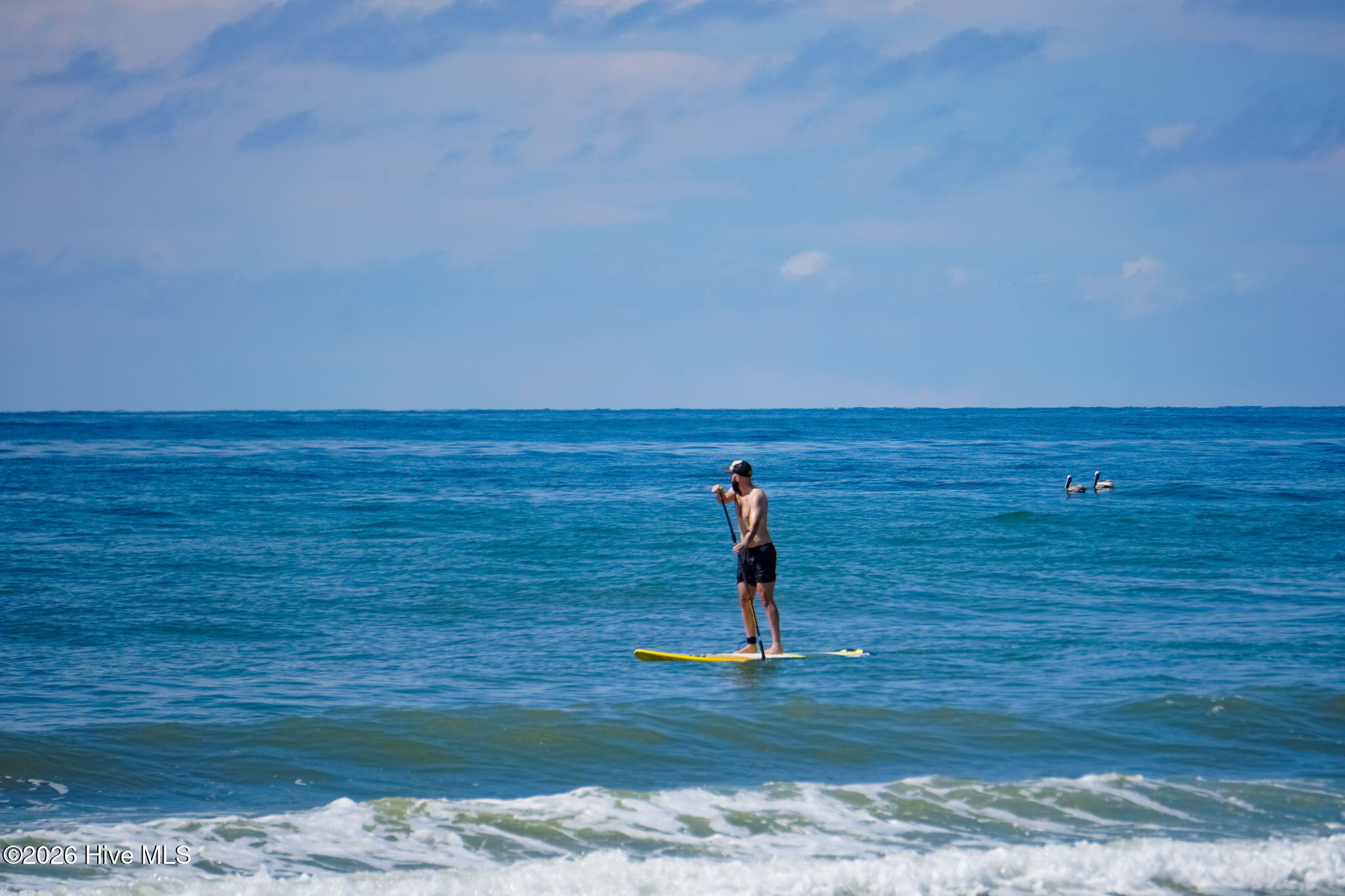 100563850 | Photo 34