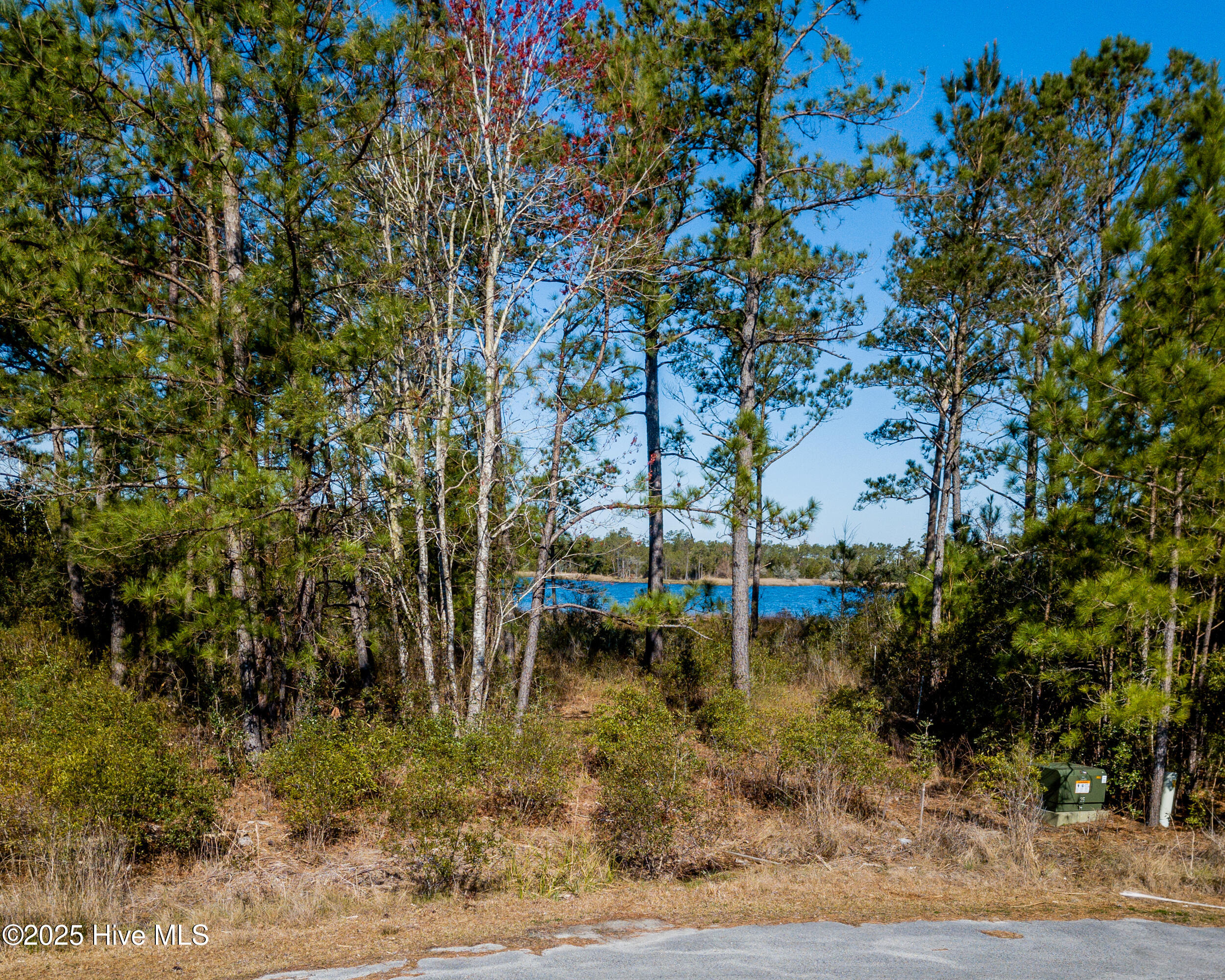 .77 acre waterfront lot, no HOA