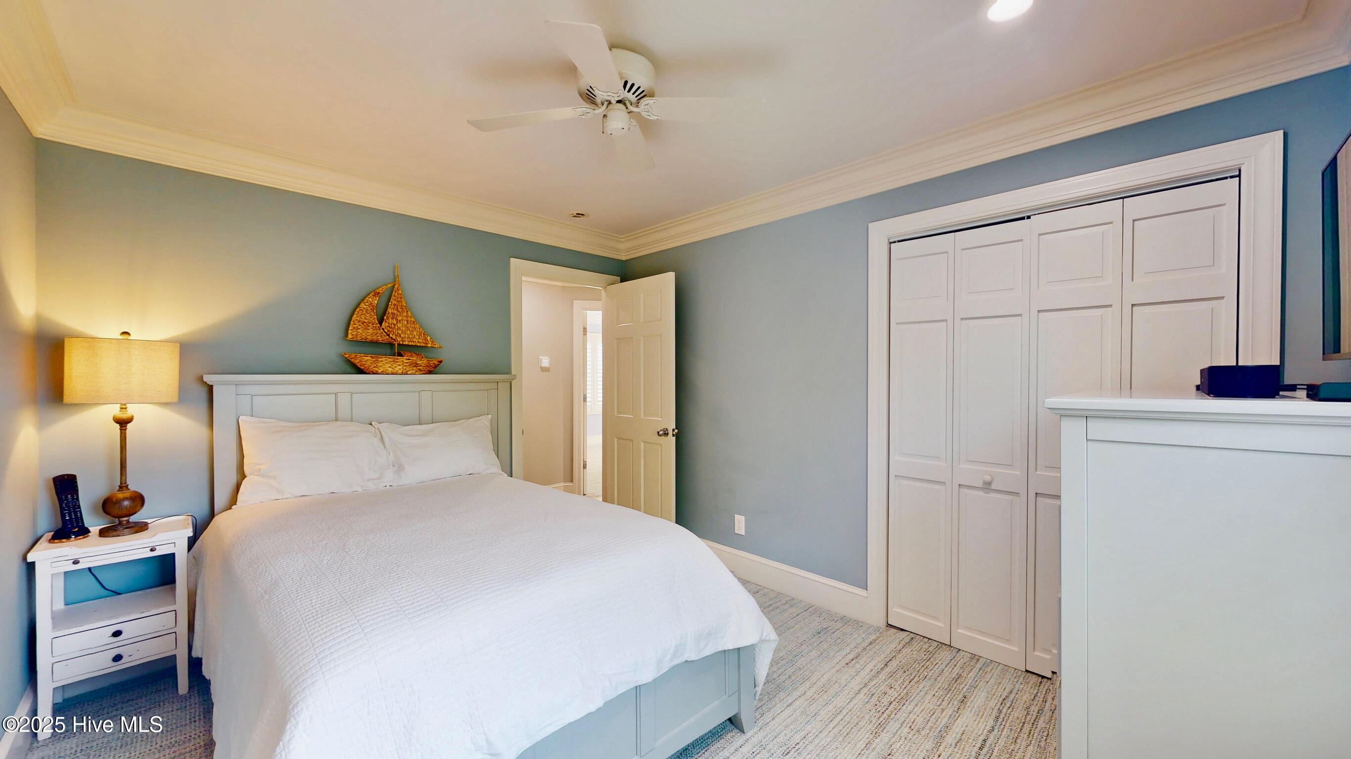 100543231 | Photo 53