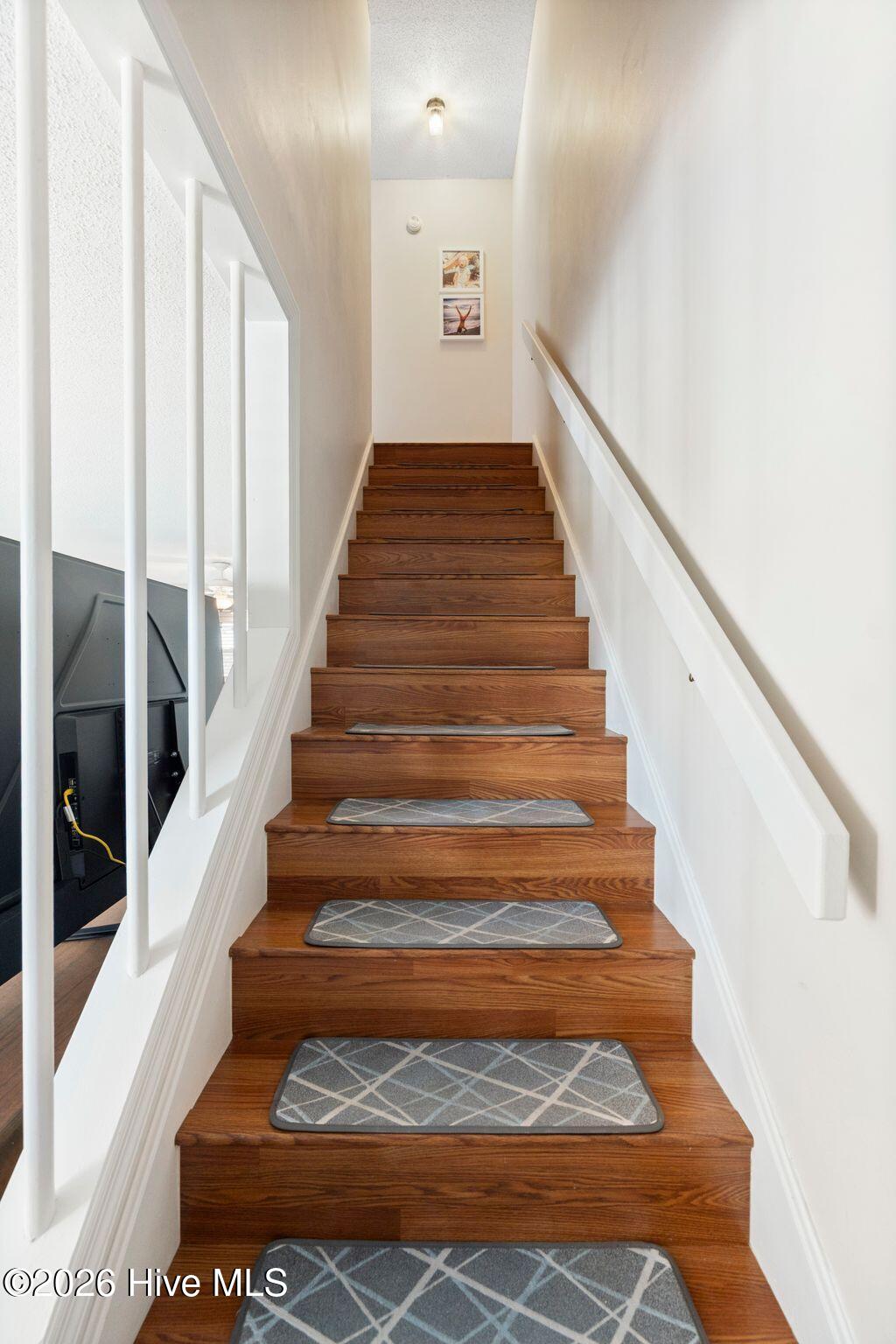 100559902 | Photo 23