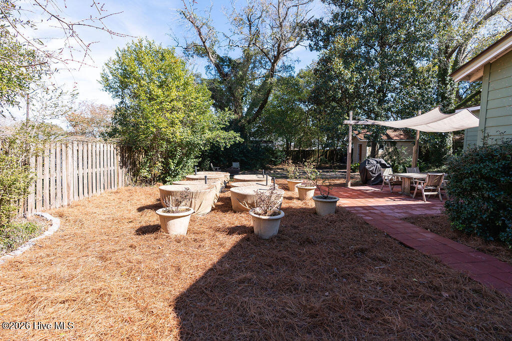 100554317 | Photo 34