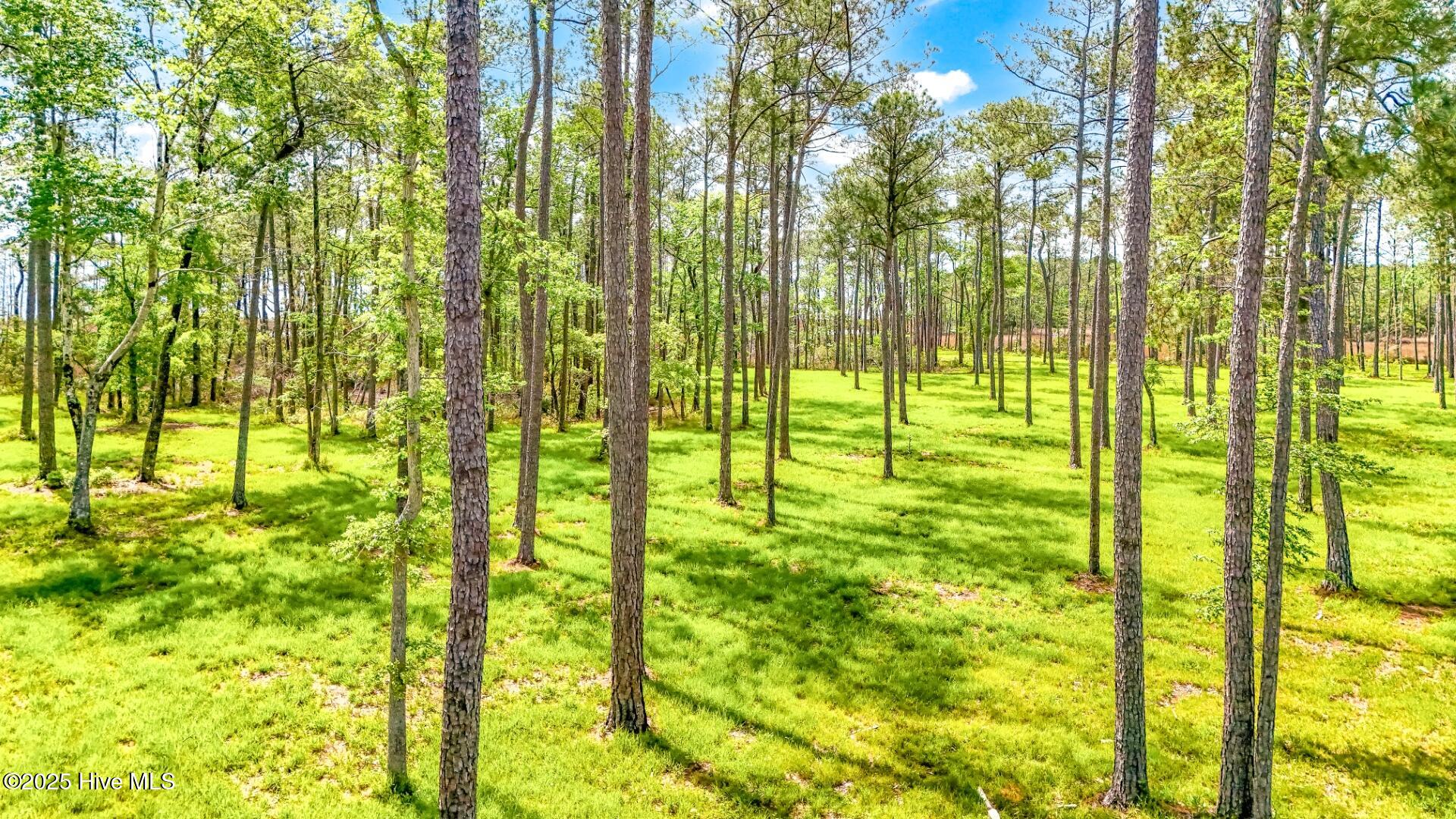 175 River Watch Road, Oriental, NC, 28571