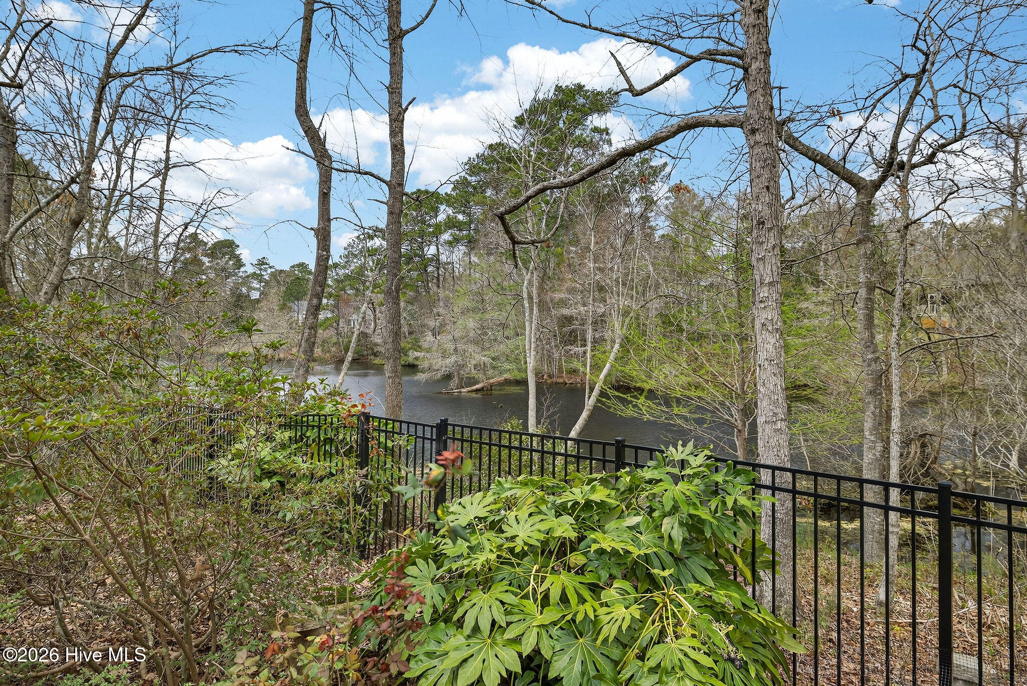 100556345 | Photo 13