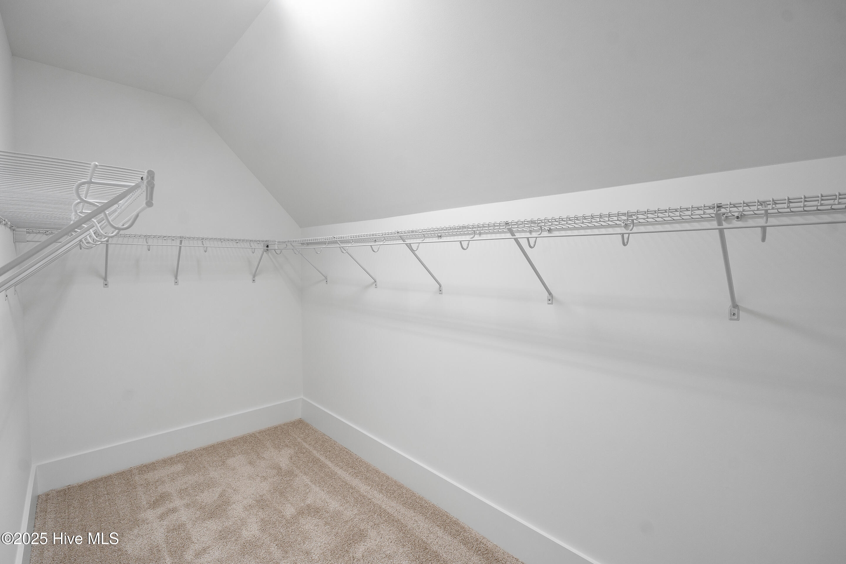 100506457 | Photo 48