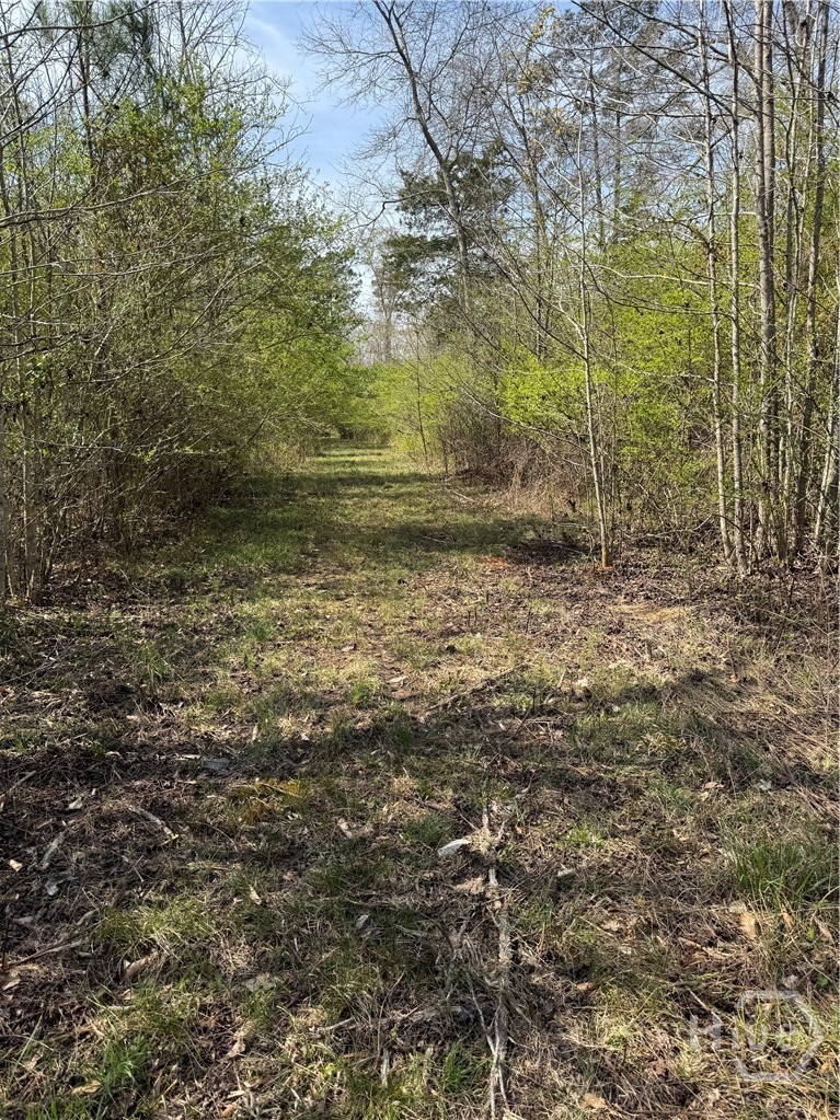 738 Old Mineral Springs Road, Elberton, GA, 30635