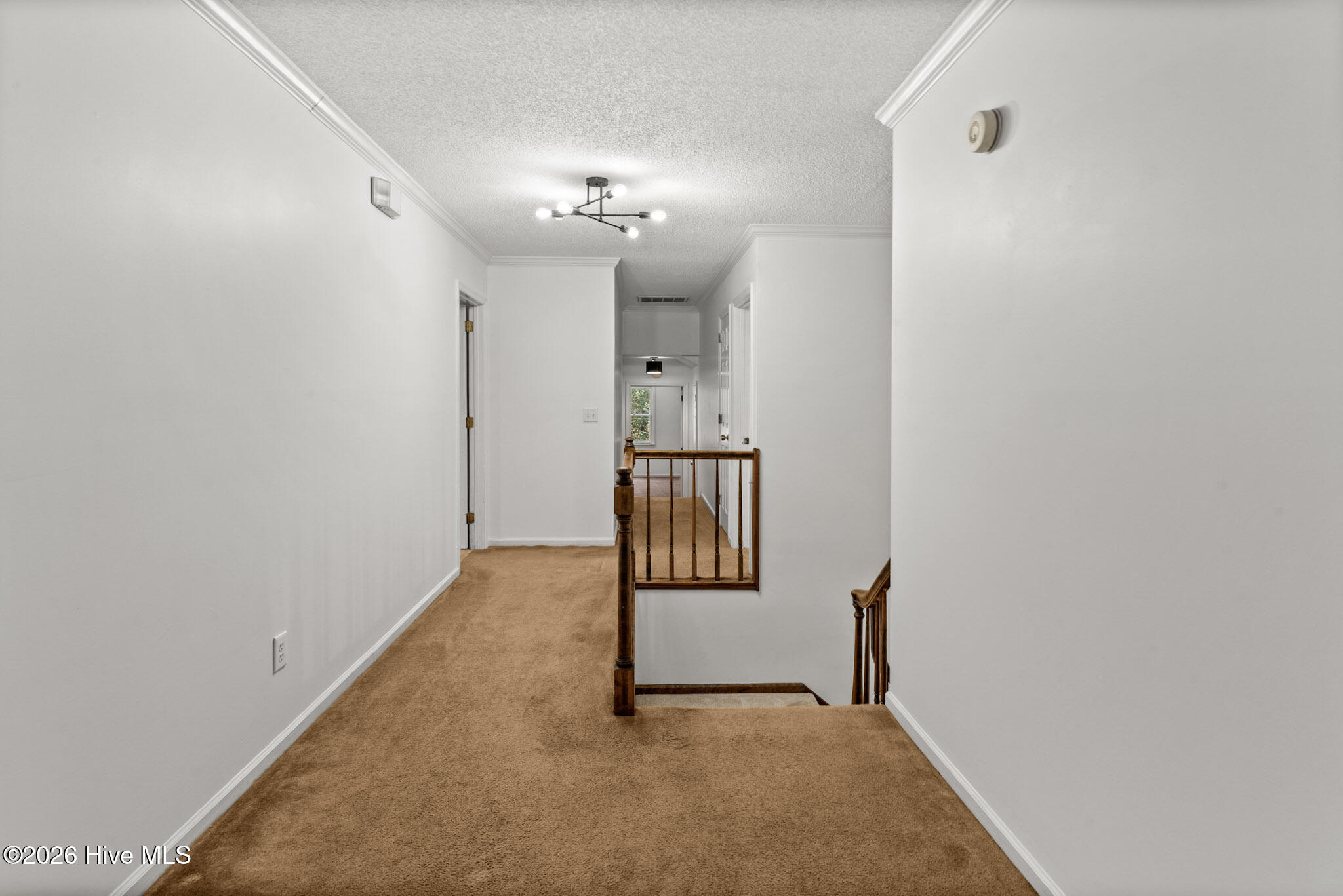 4601 Tall Tree Lane, Wilmington, NC, 28409