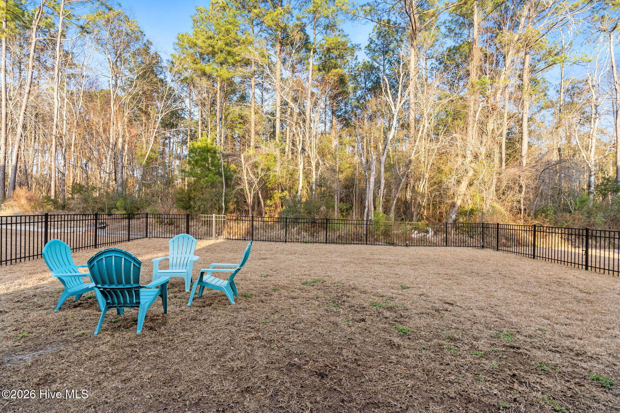 100550321 | Photo 37