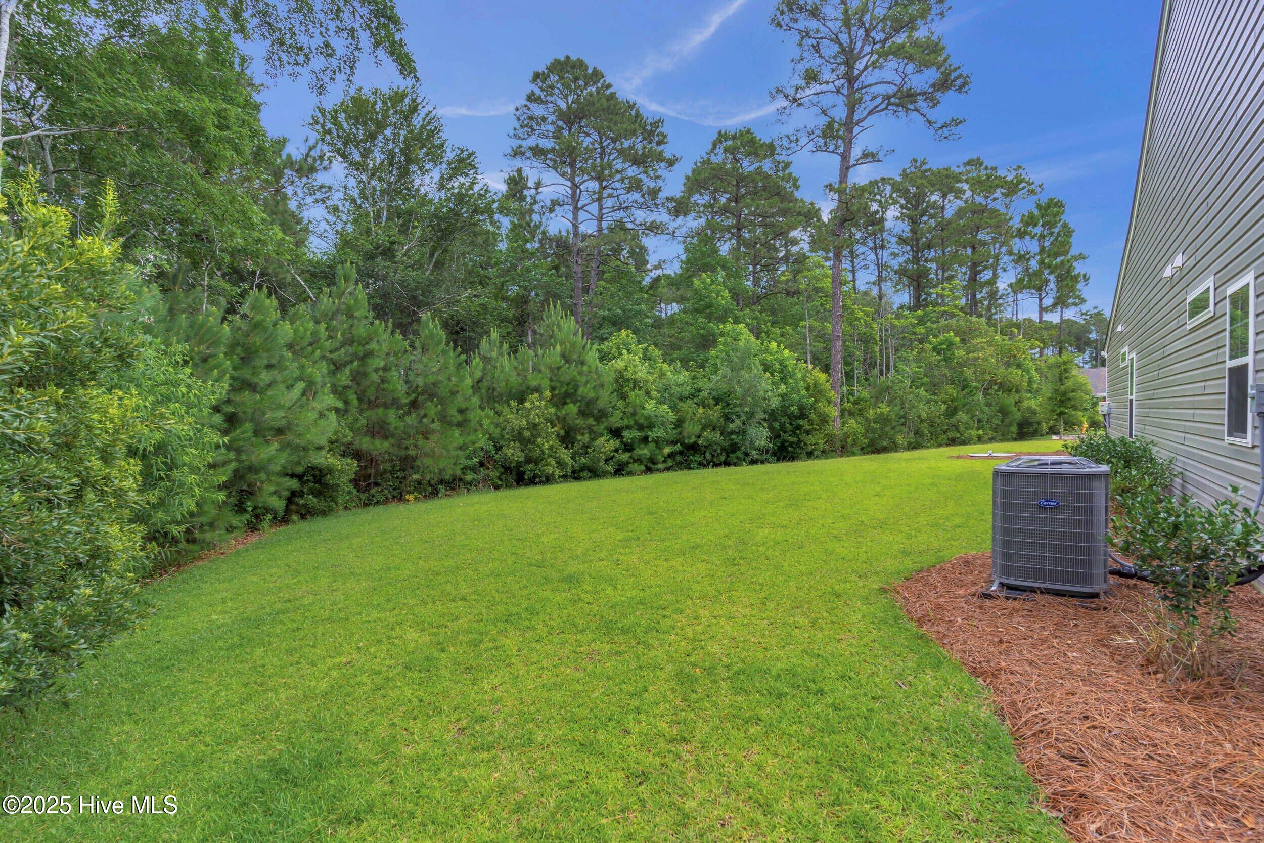 100514304 | Photo 33