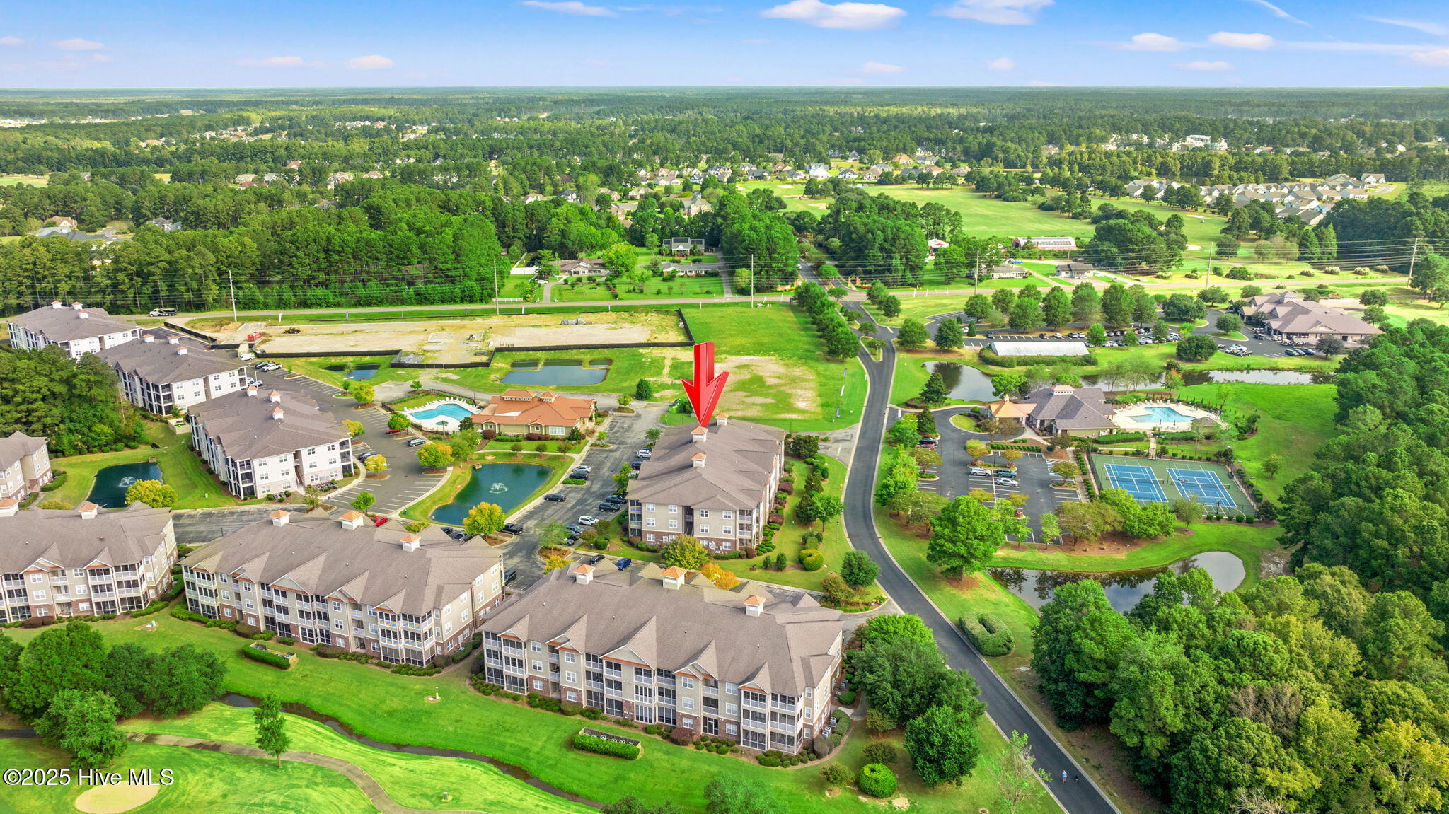 100532039 | Photo 33