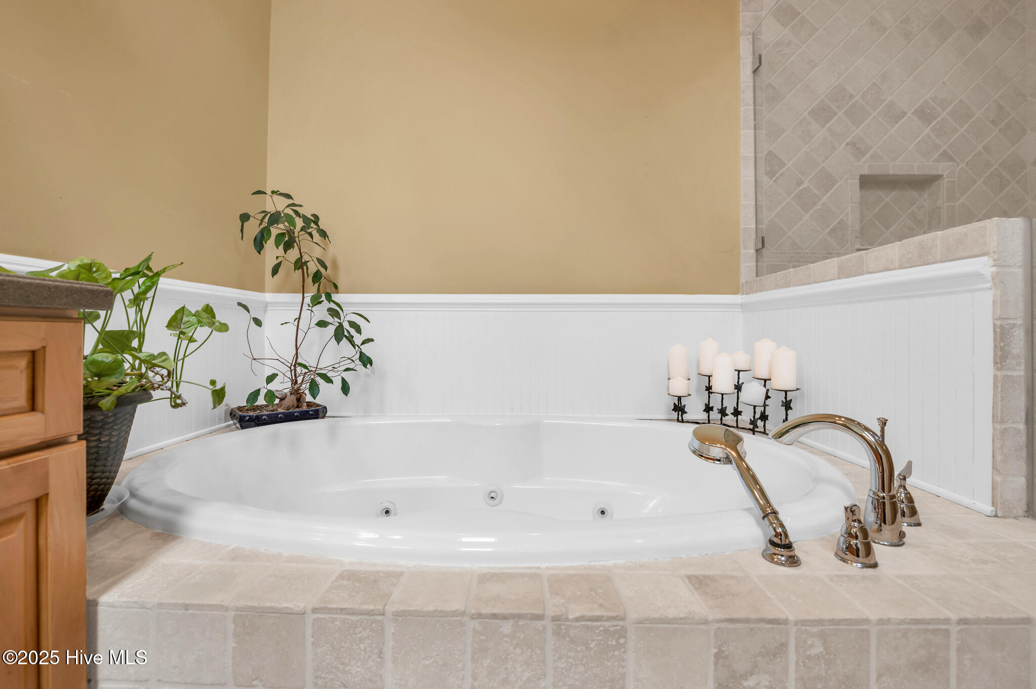 100494637 | Photo 31