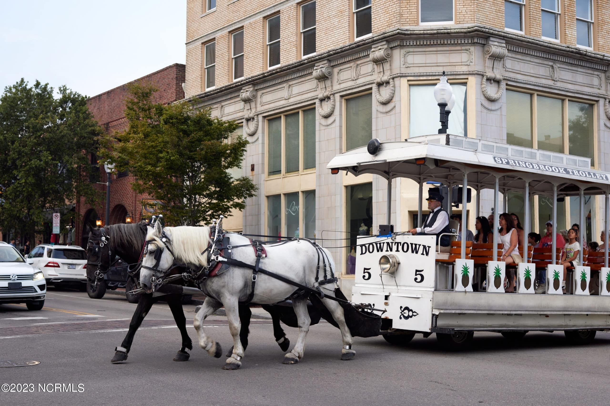 100546051 | Photo 31