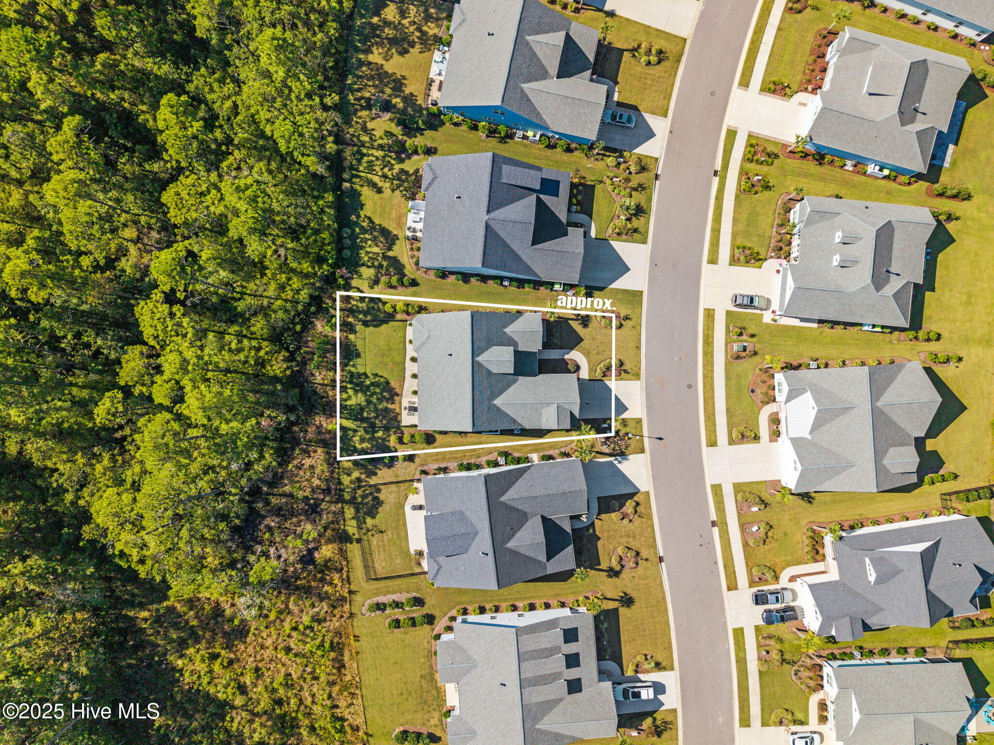 100534484 | Photo 12