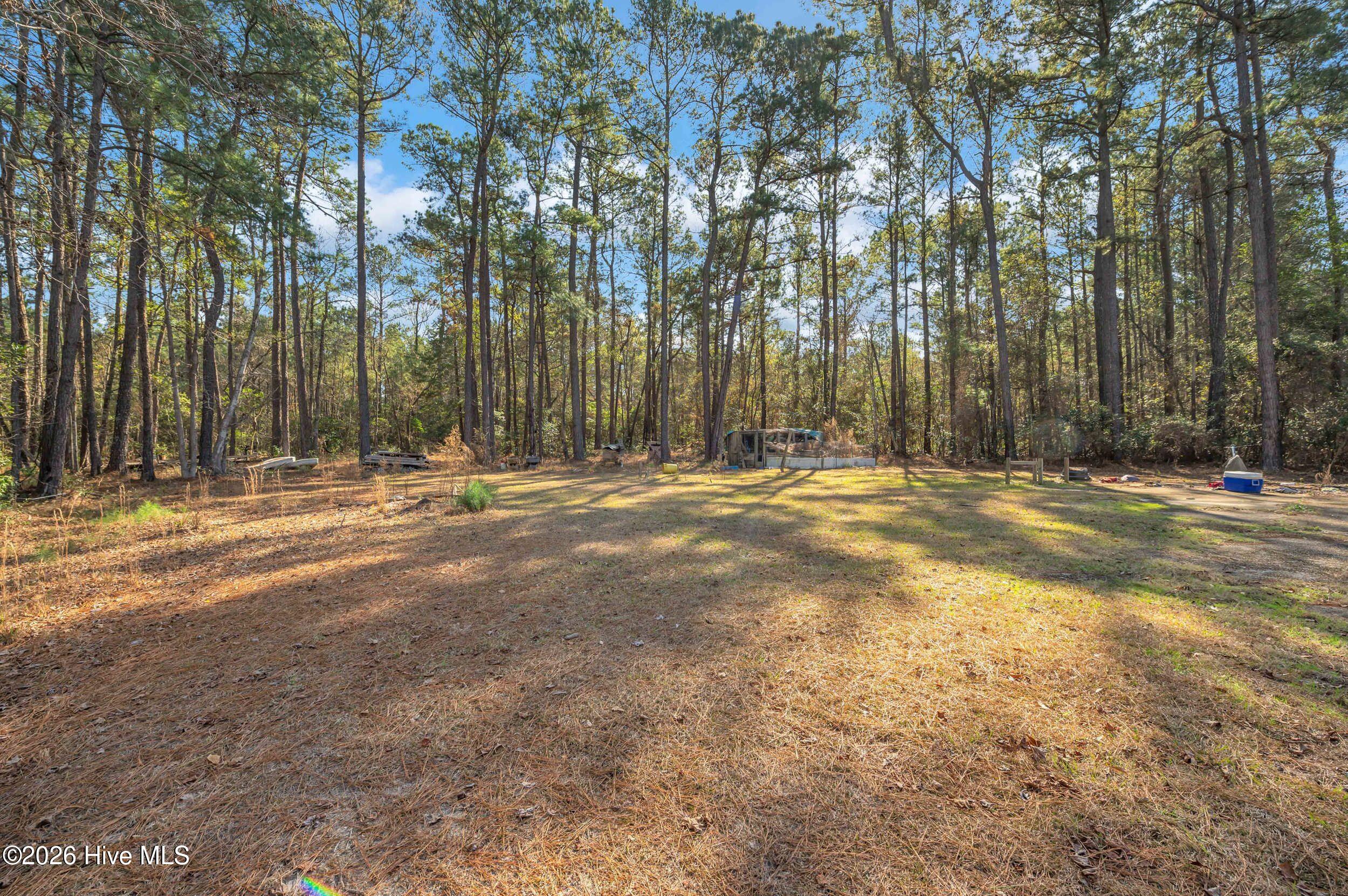 100551501 | Photo 17