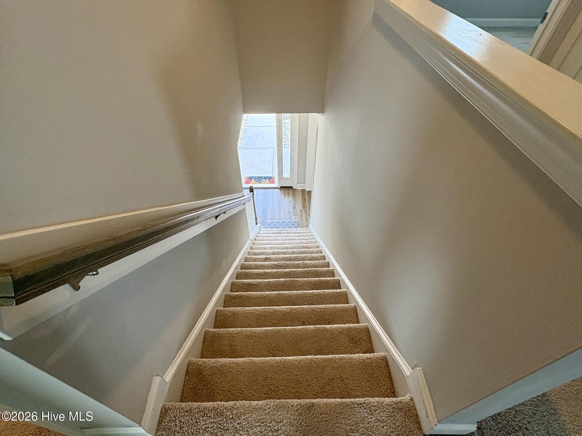 100538351 | Photo 75