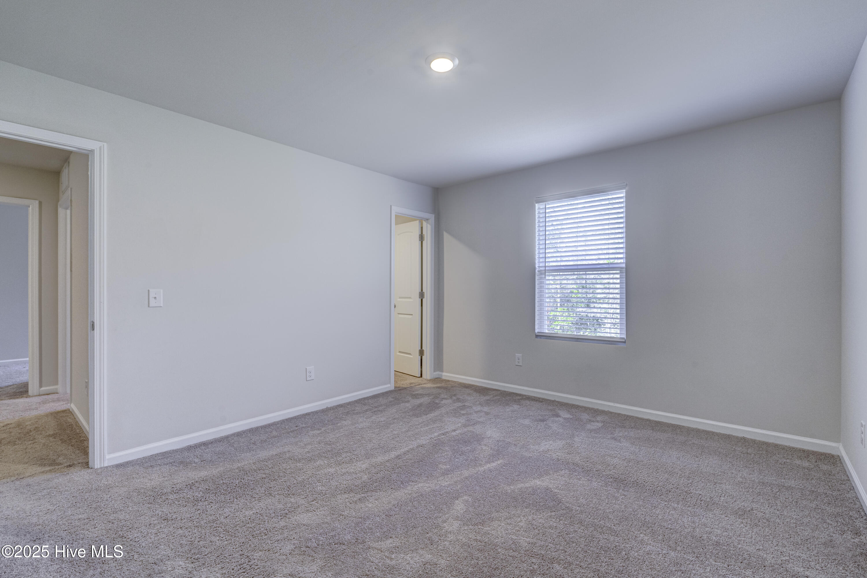 100528230 | Photo 38