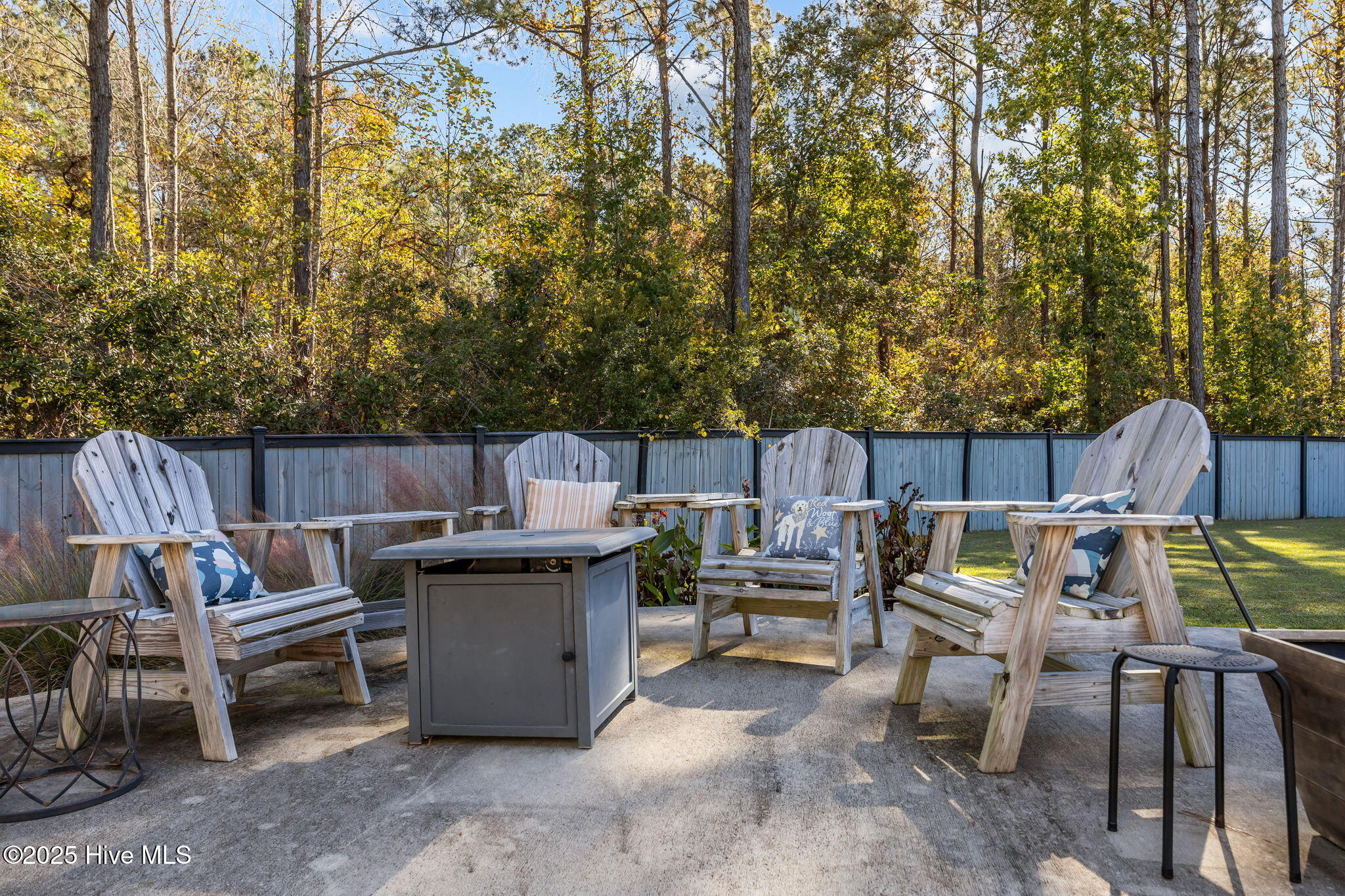 100541215 | Photo 47