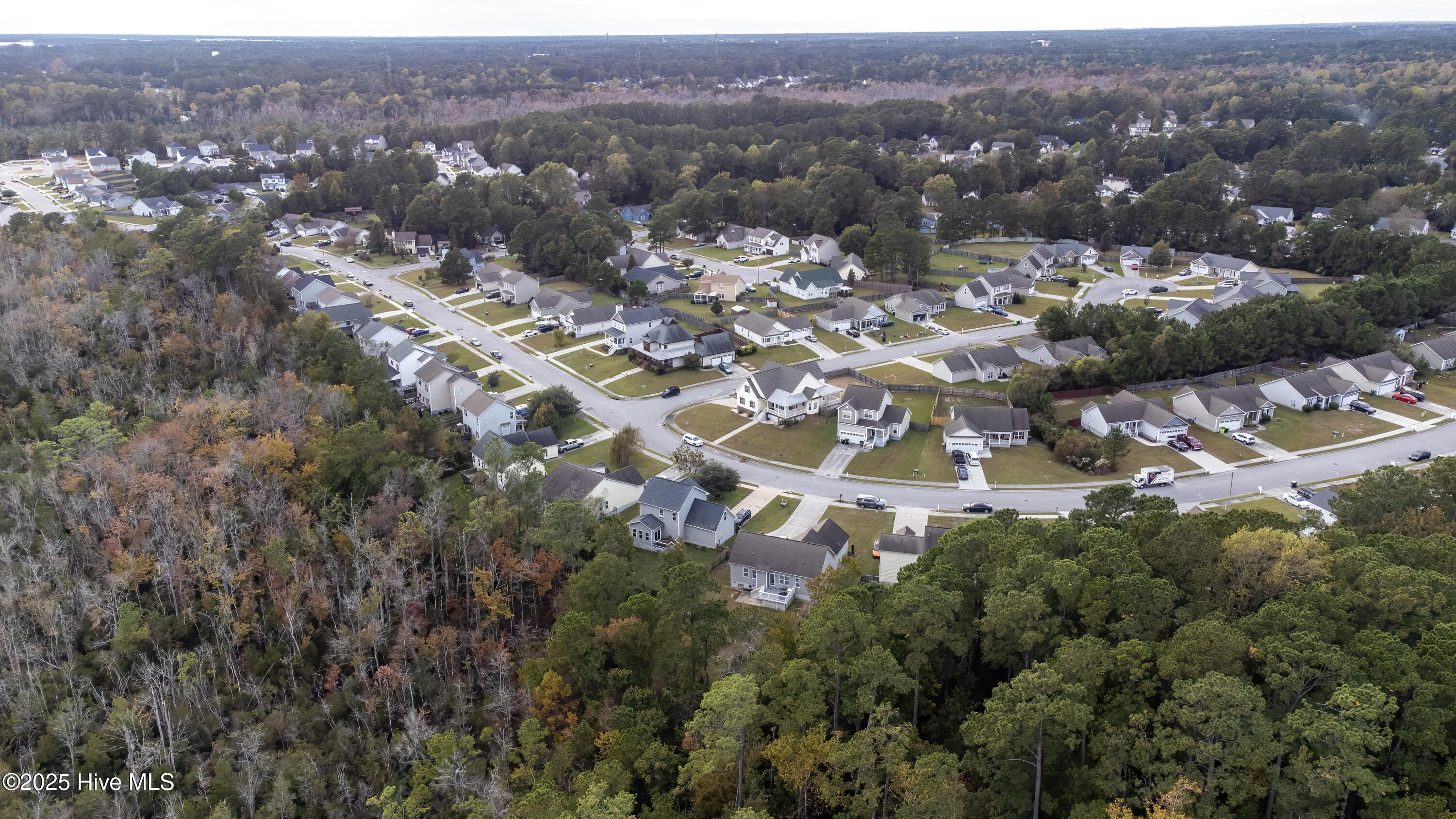 100539008 | Photo 77