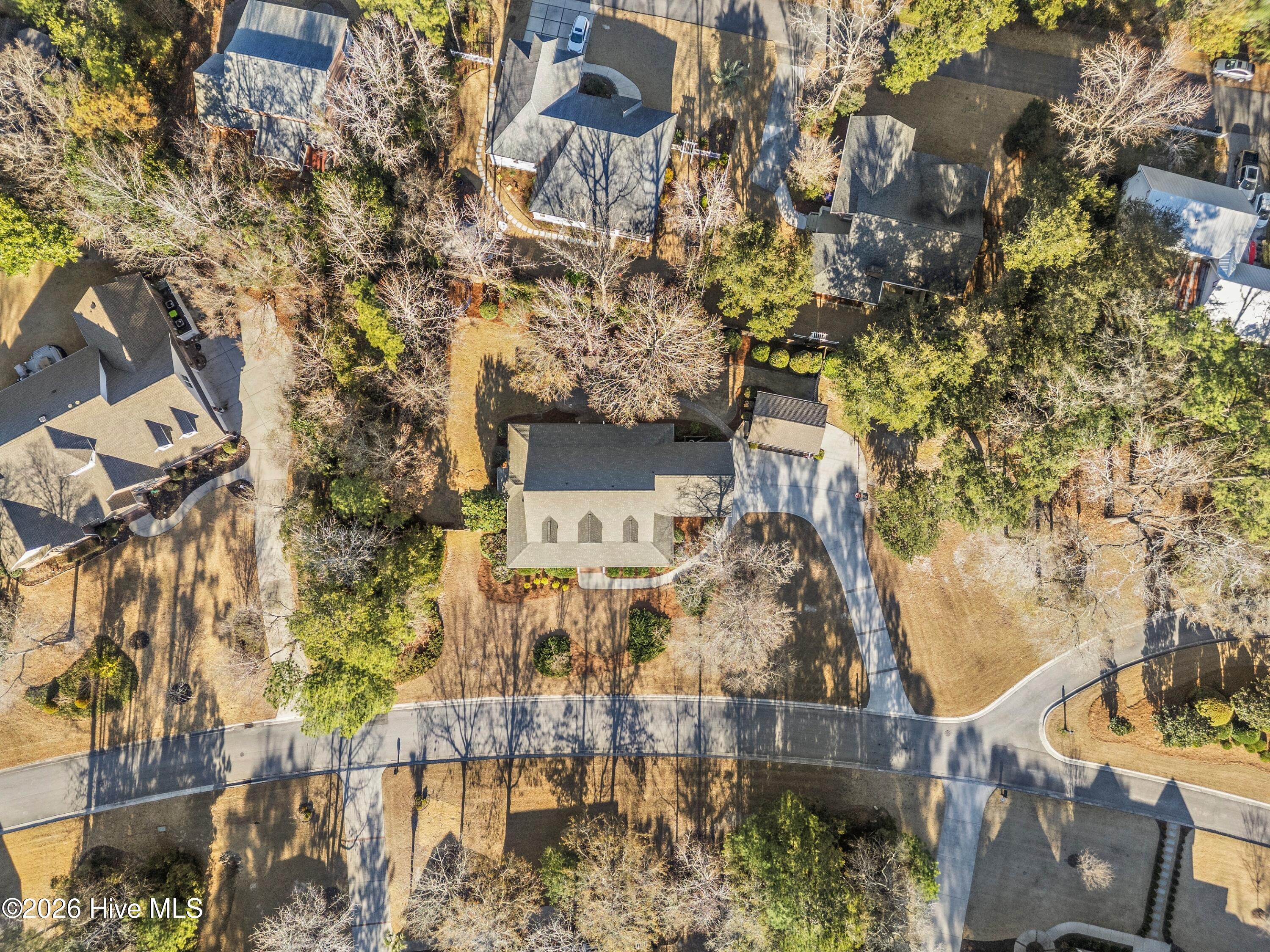 100549669 | Photo 80