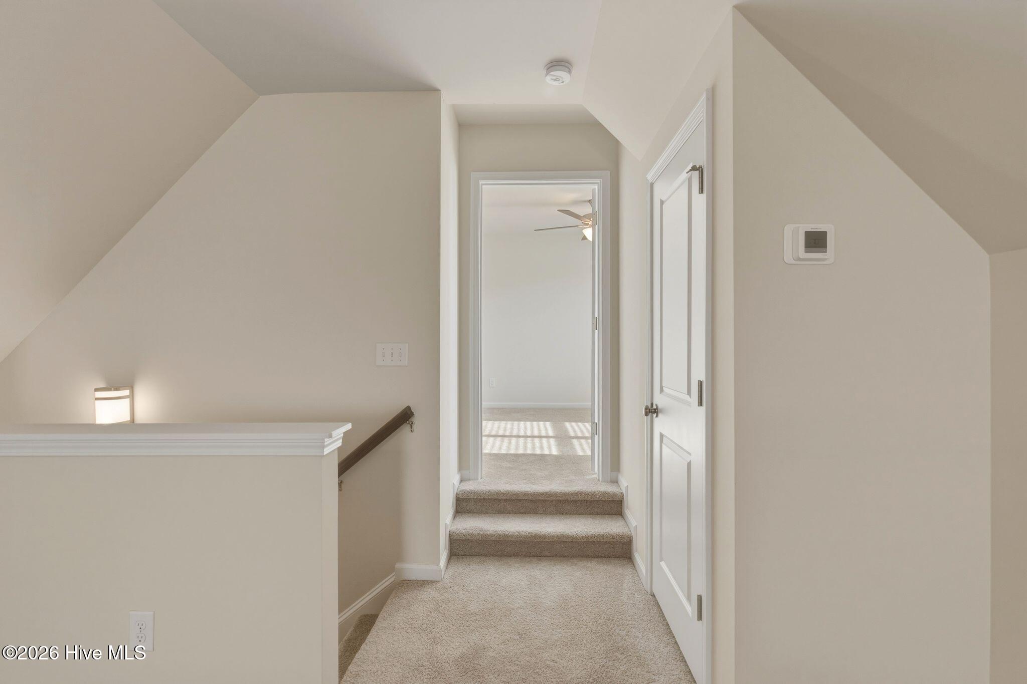 100563254 | Photo 25