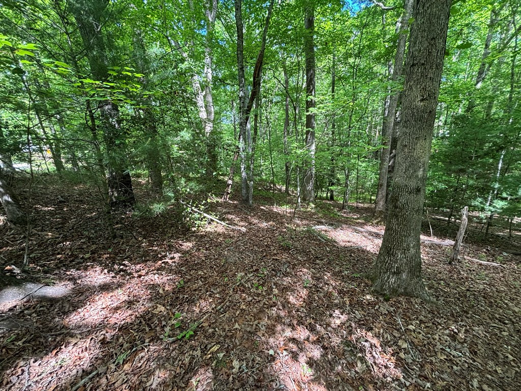 Exterior photo of Lot 1B Forest Lane, Murphy, NC 28906. MLS: 98544462