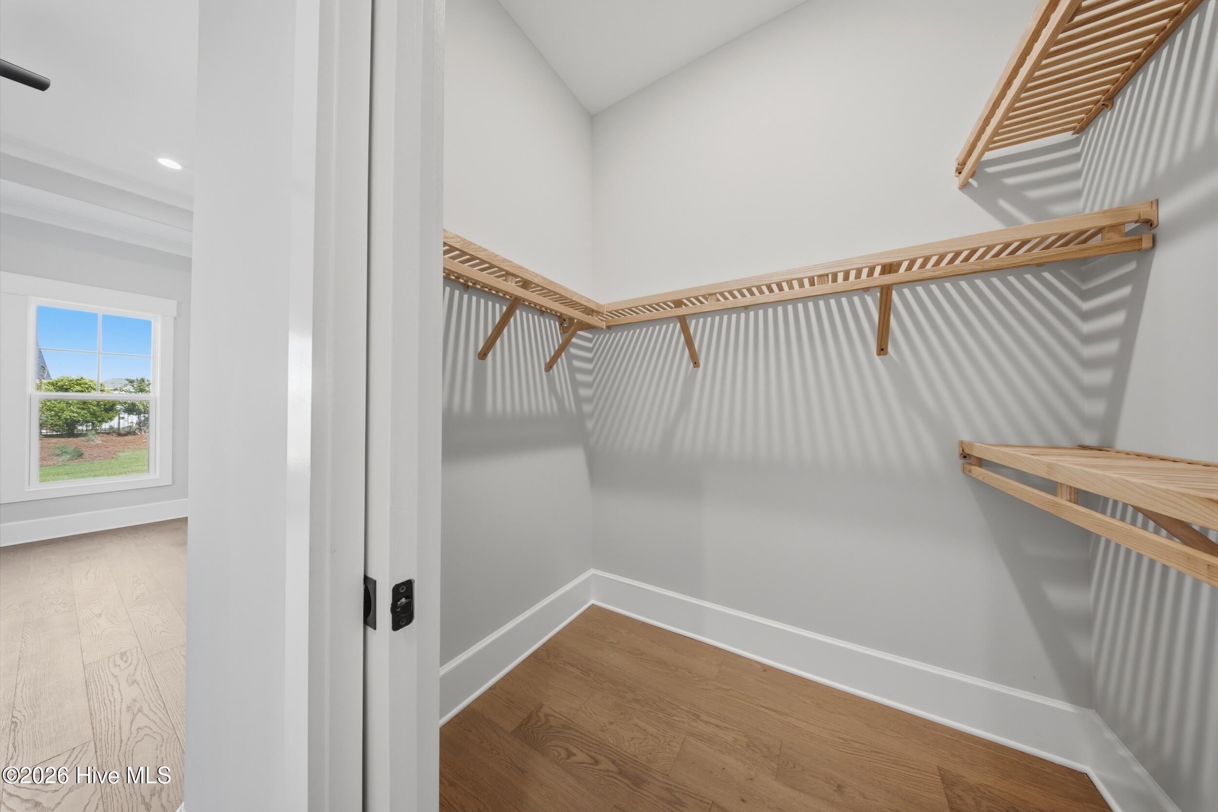 100567785 | Photo 49