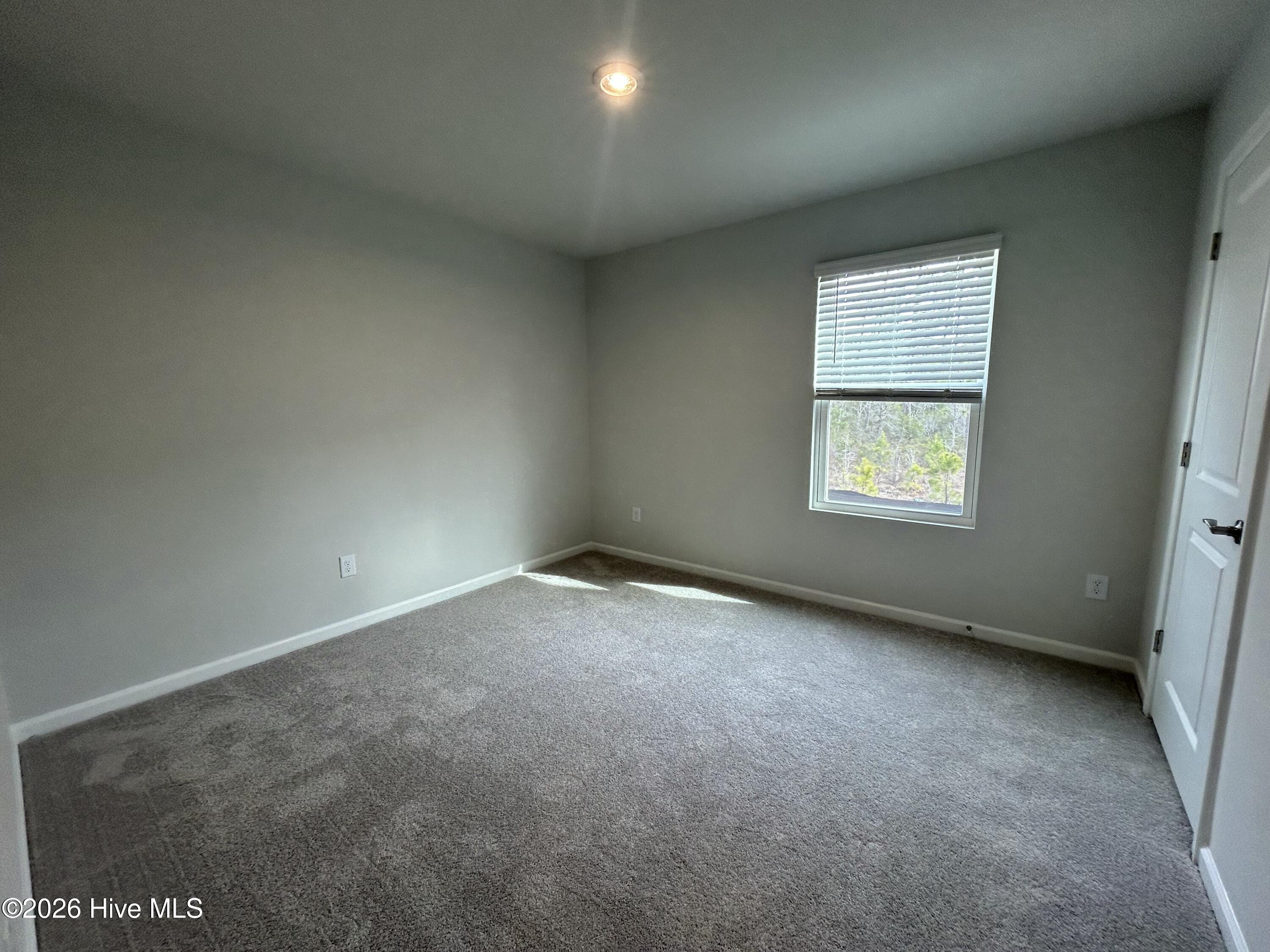 100548102 | Photo 14