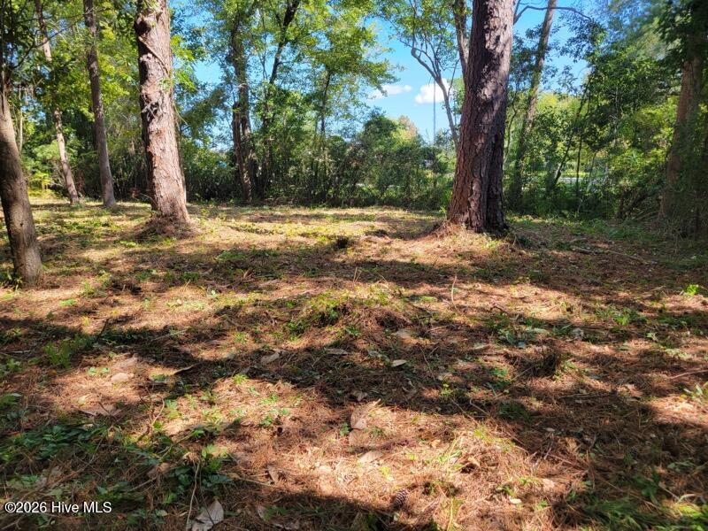 Photo 1 of Land for sale at 190 Cedar Crk Rd, Newport, NC 28570 | MLS# 100606657 | Listing updated on 2026-09-30