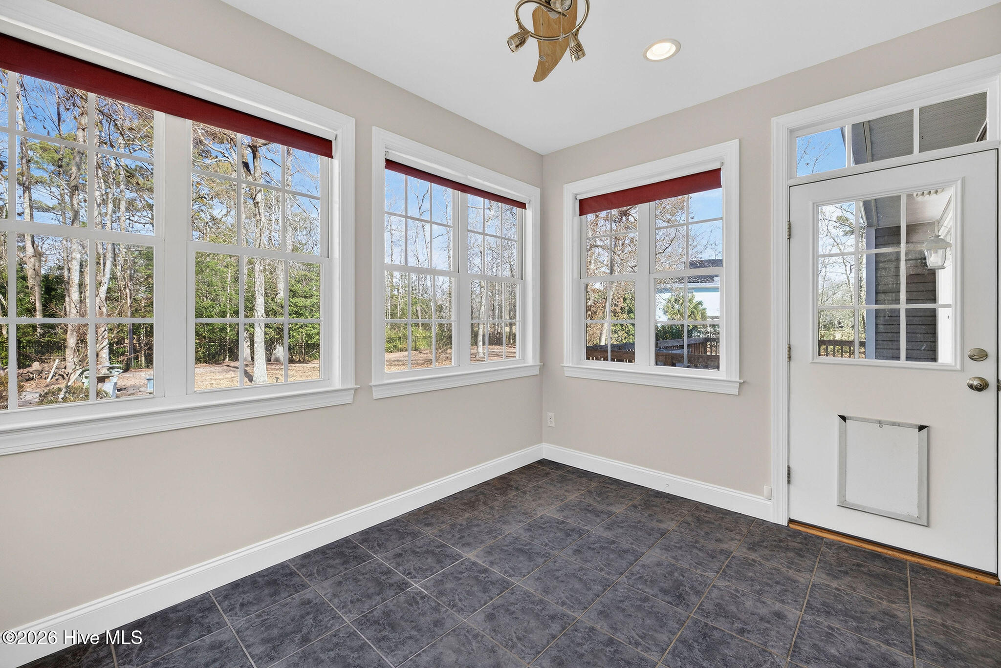 100554466 | Photo 26